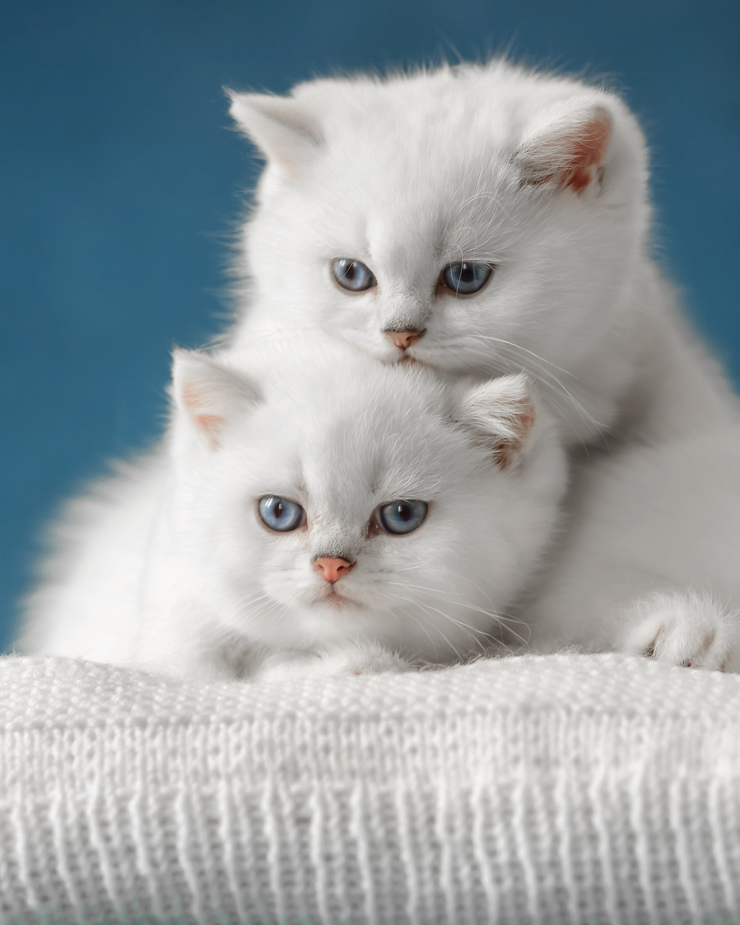 Фотограф в Хабаровске — запись на съёмку. Алена Попова — фотограф в Хабаровске