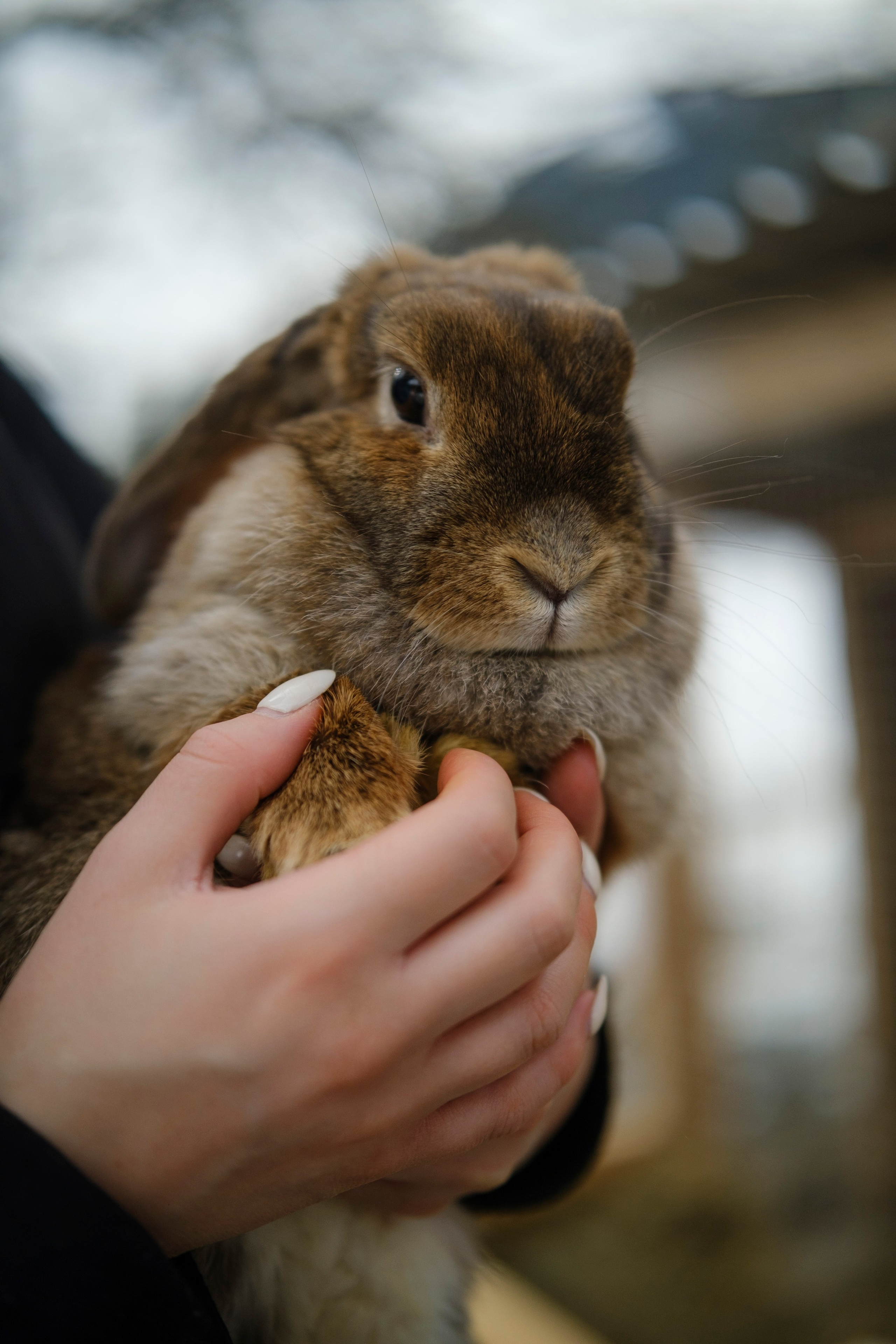 Архыз 9-11 02 24. Главная