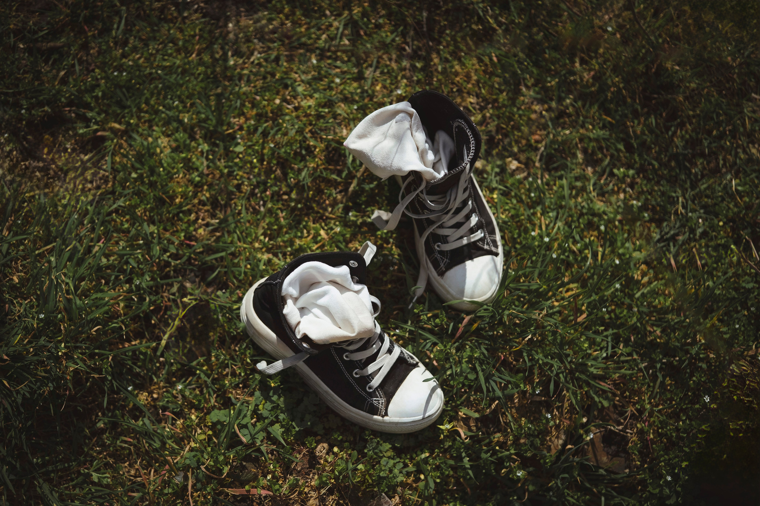 Зеленый остров. Главная