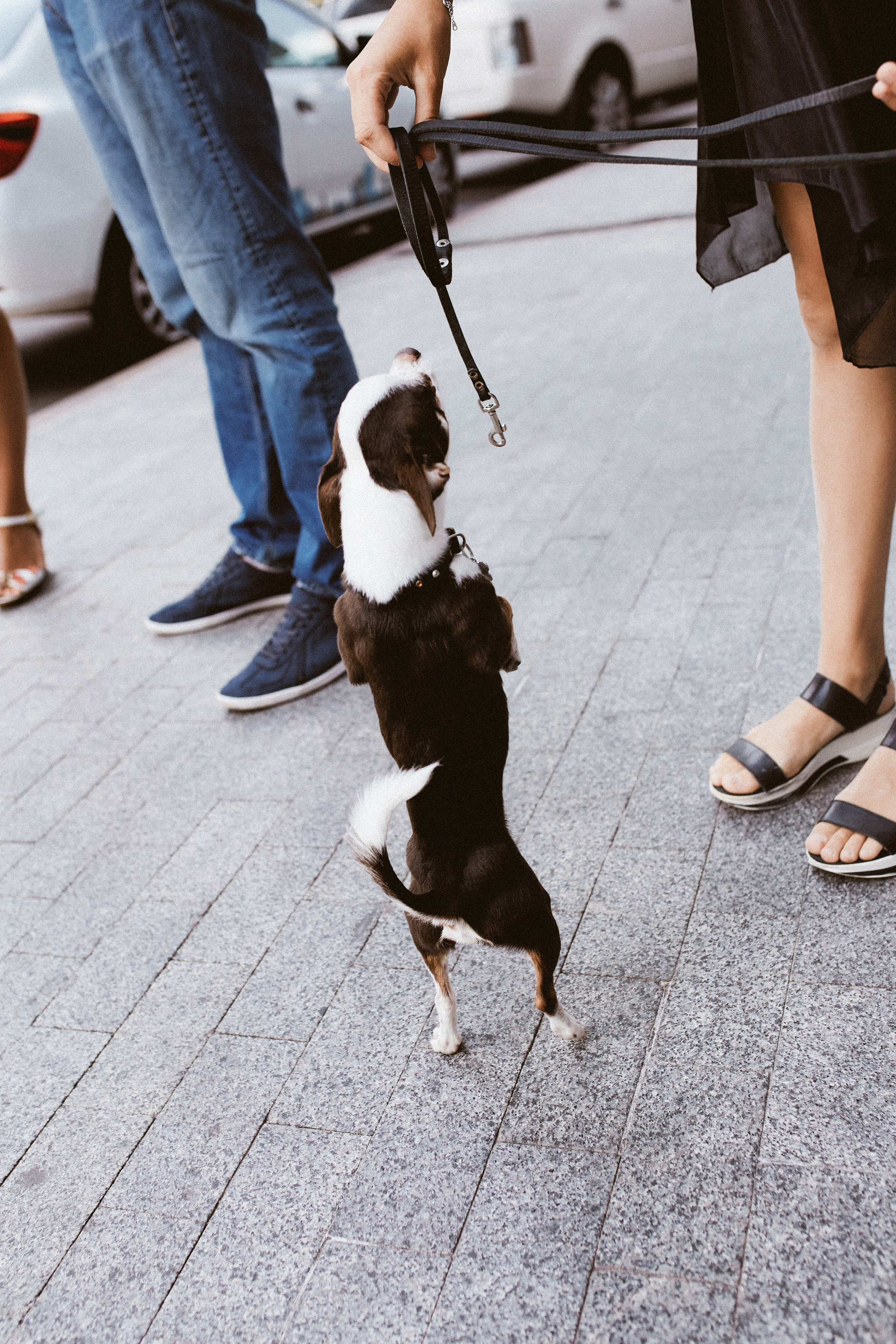 Свадьба в Сити. Портретный фотограф в Москве Мария Варлей