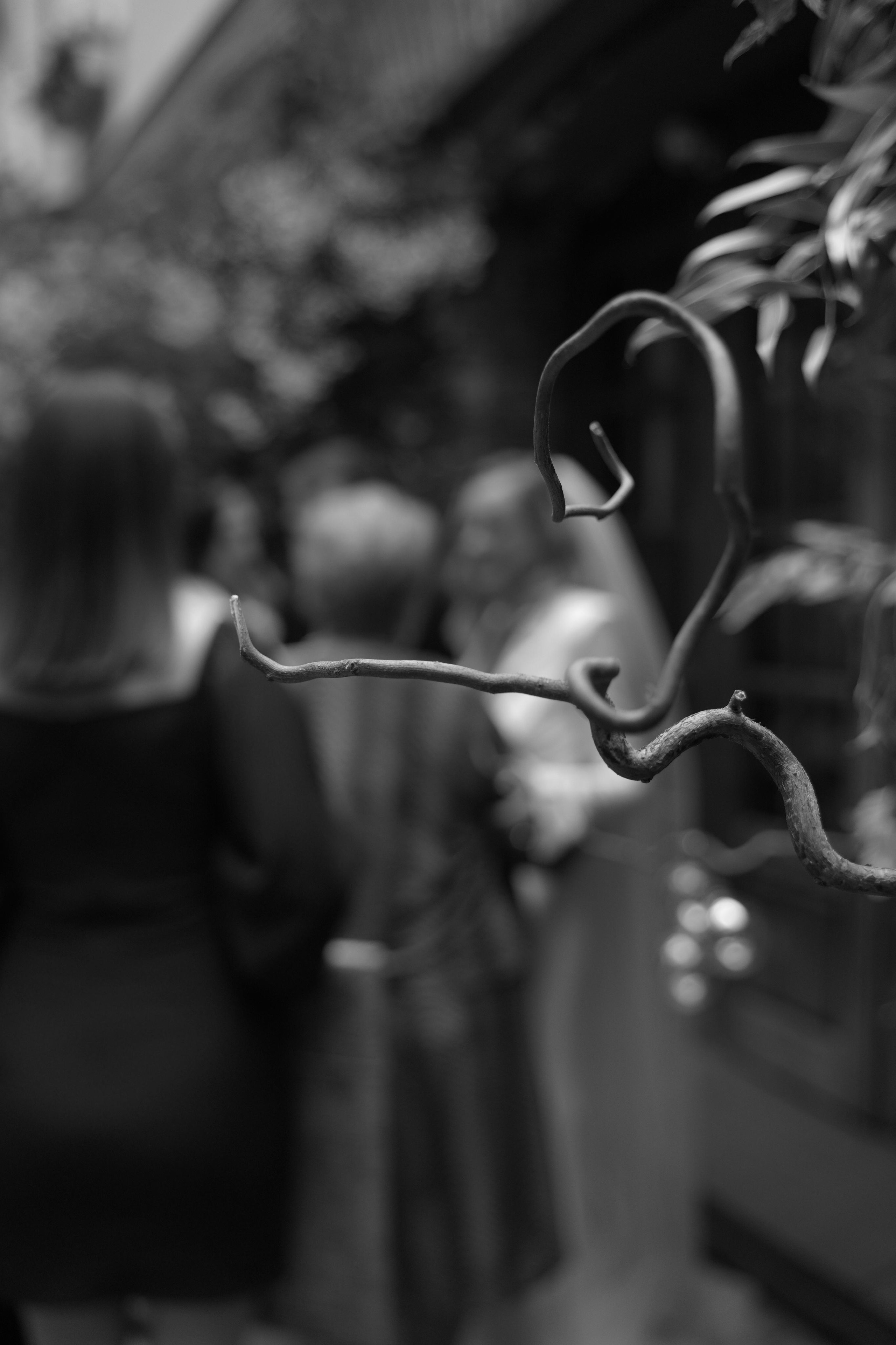 Арина и Евгений. Свадебный фотограф Марина Попова