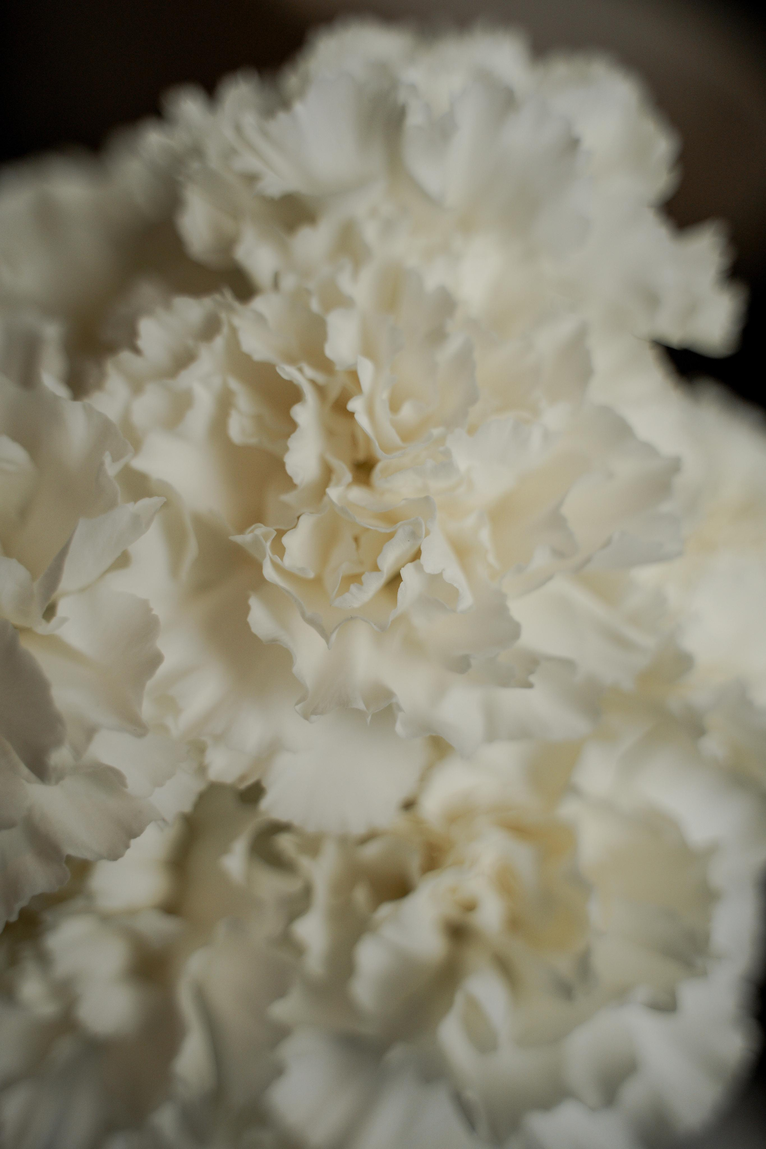 Сальвия и Георгий. Свадебный фотограф Марина Попова