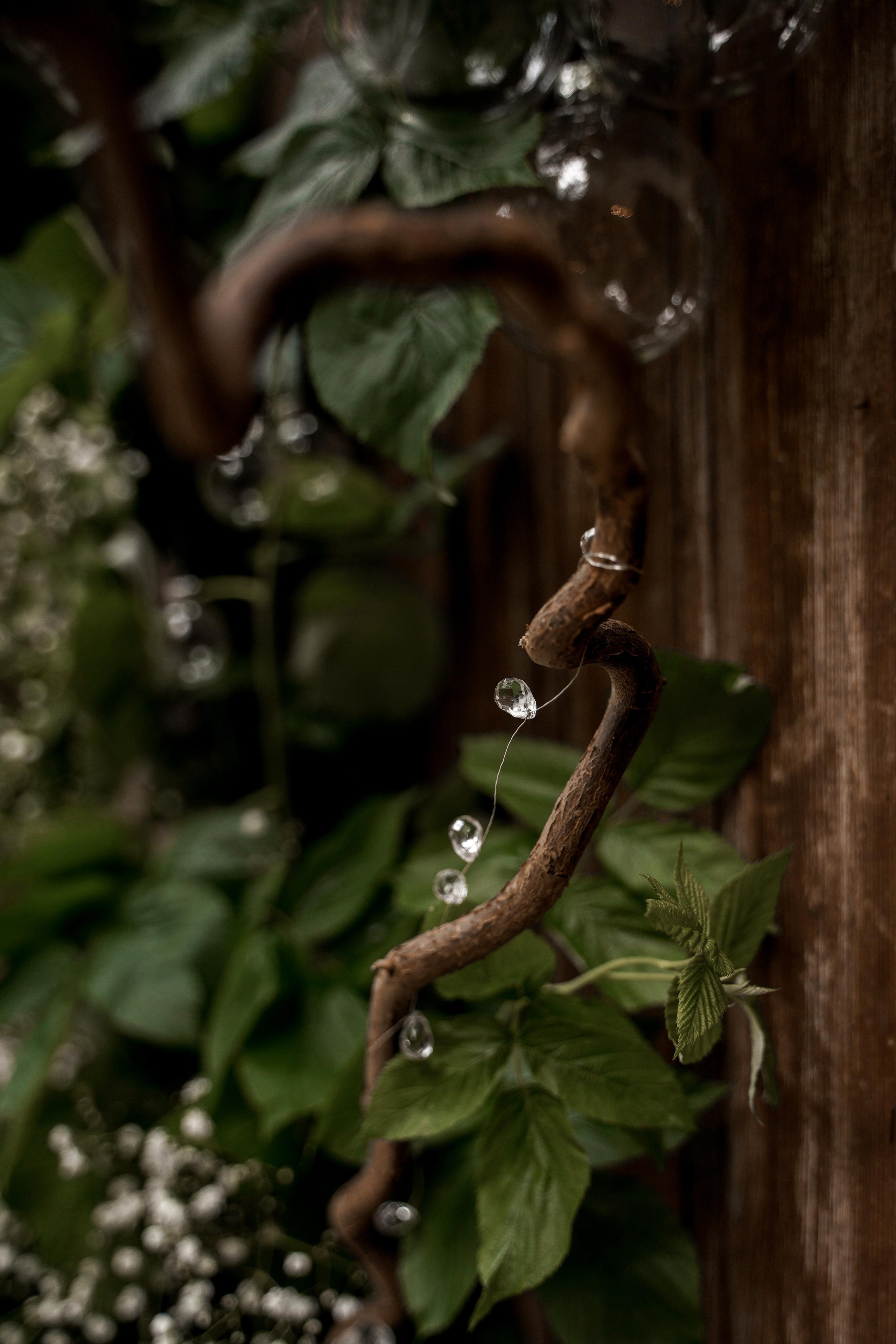 Арина и Евгений. Свадебный фотограф Марина Попова