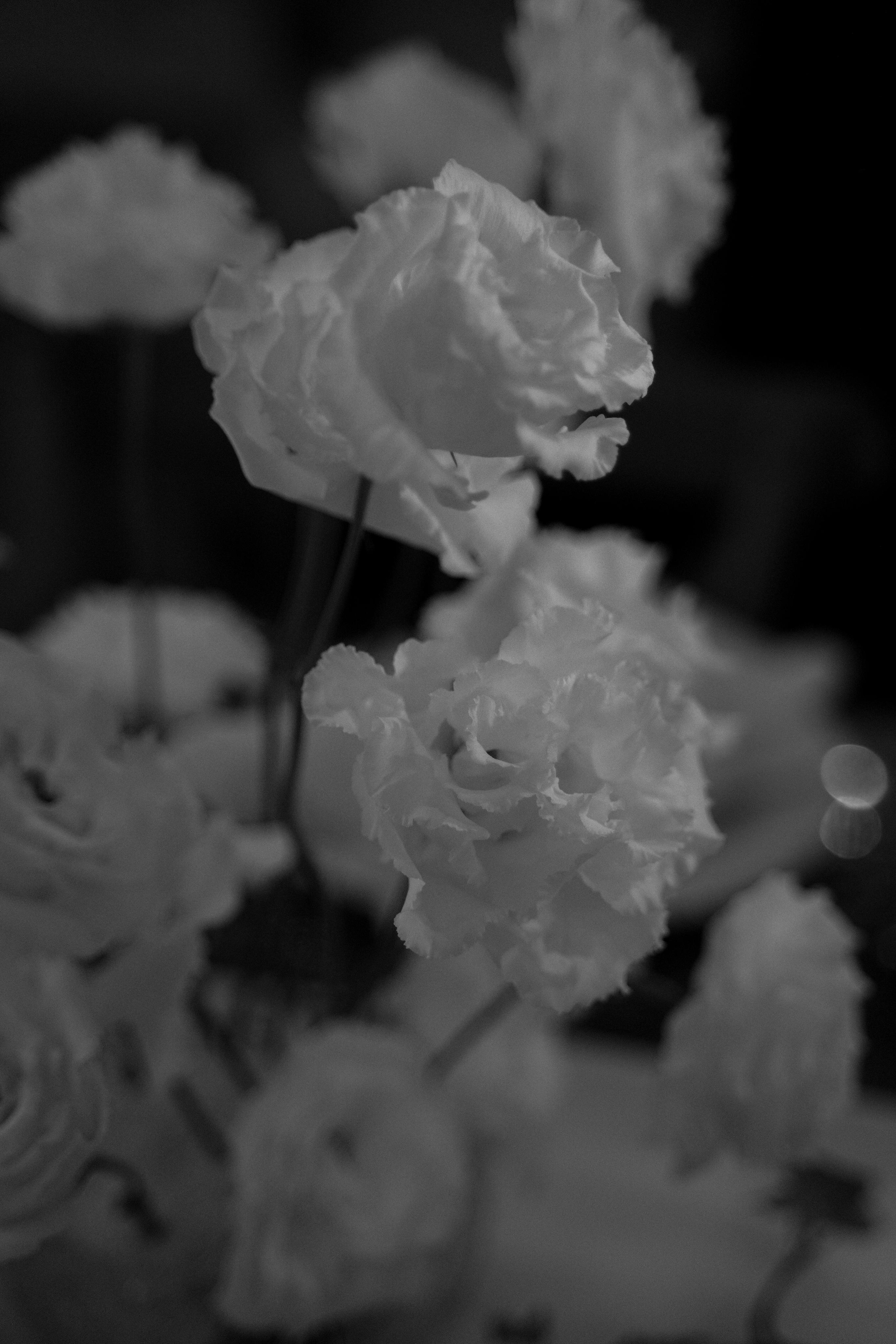 Арина и Евгений. Свадебный фотограф Марина Попова