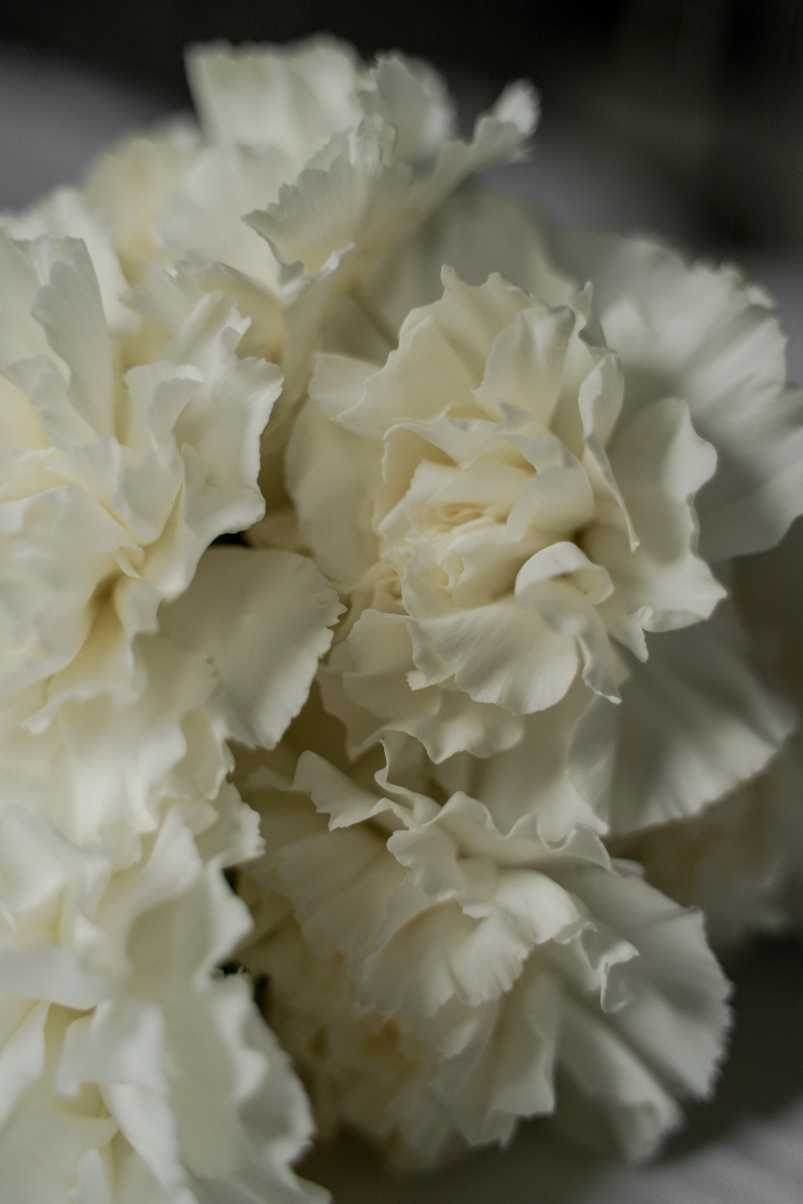 Сальвия и Георгий. Свадебный фотограф Марина Попова