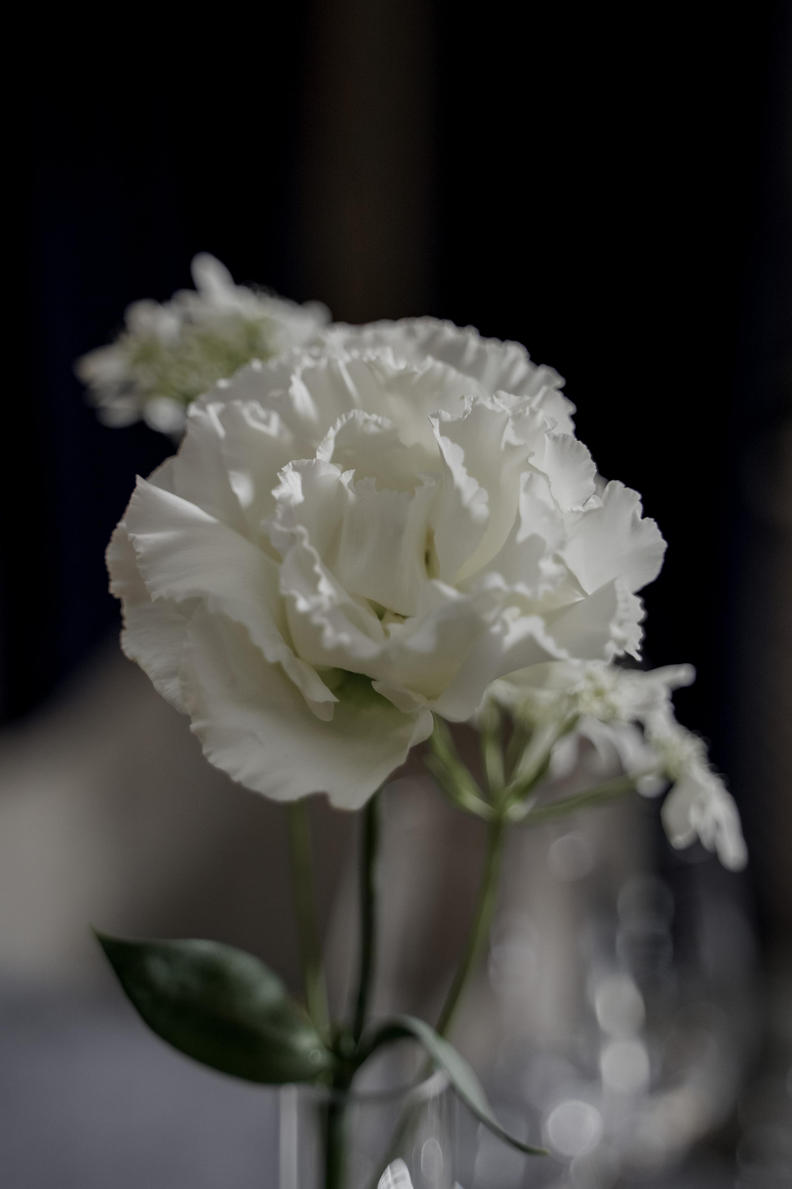 Сальвия и Георгий. Свадебный фотограф Марина Попова