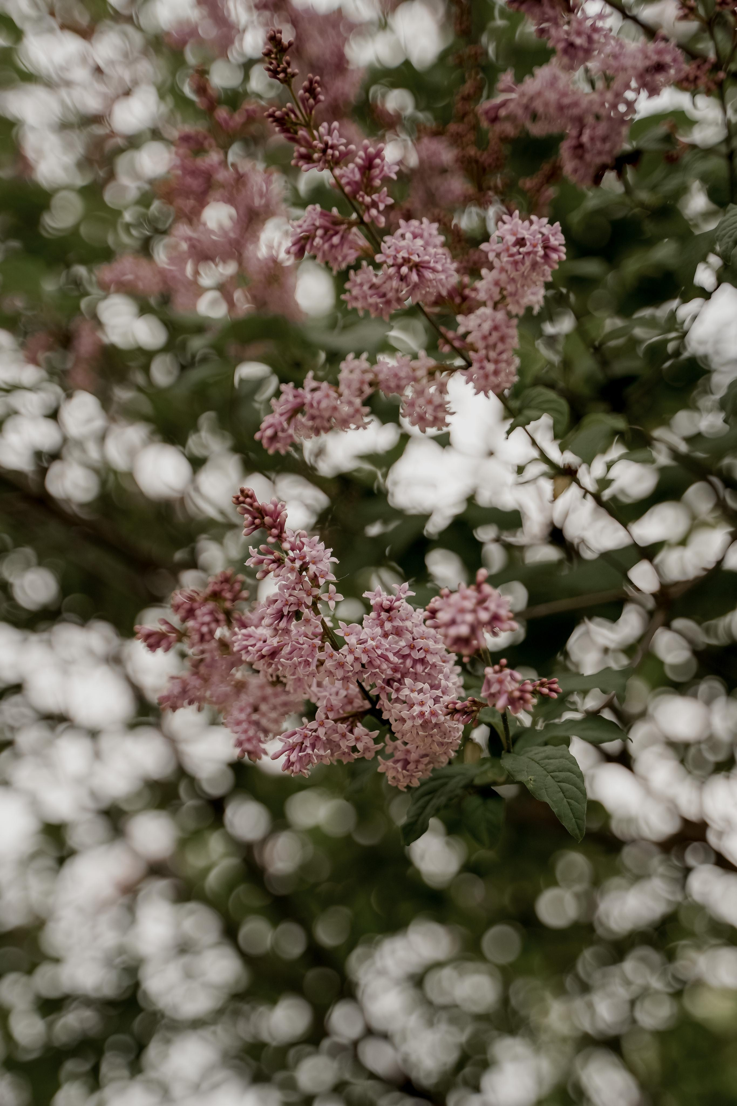 Мария и Илья. Свадебный фотограф Марина Попова