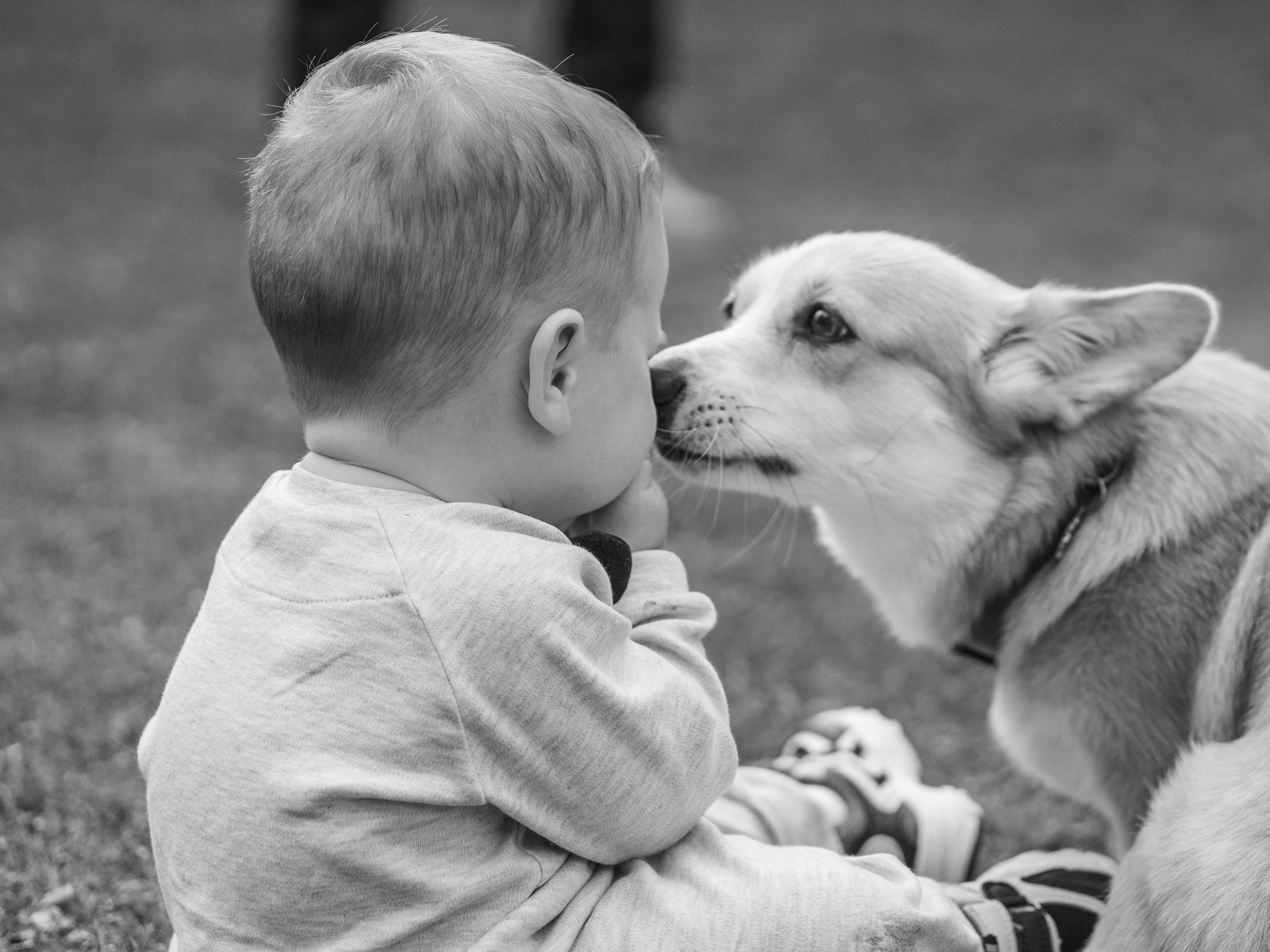 Профессиональная семейная съемка. Bayt Of Love