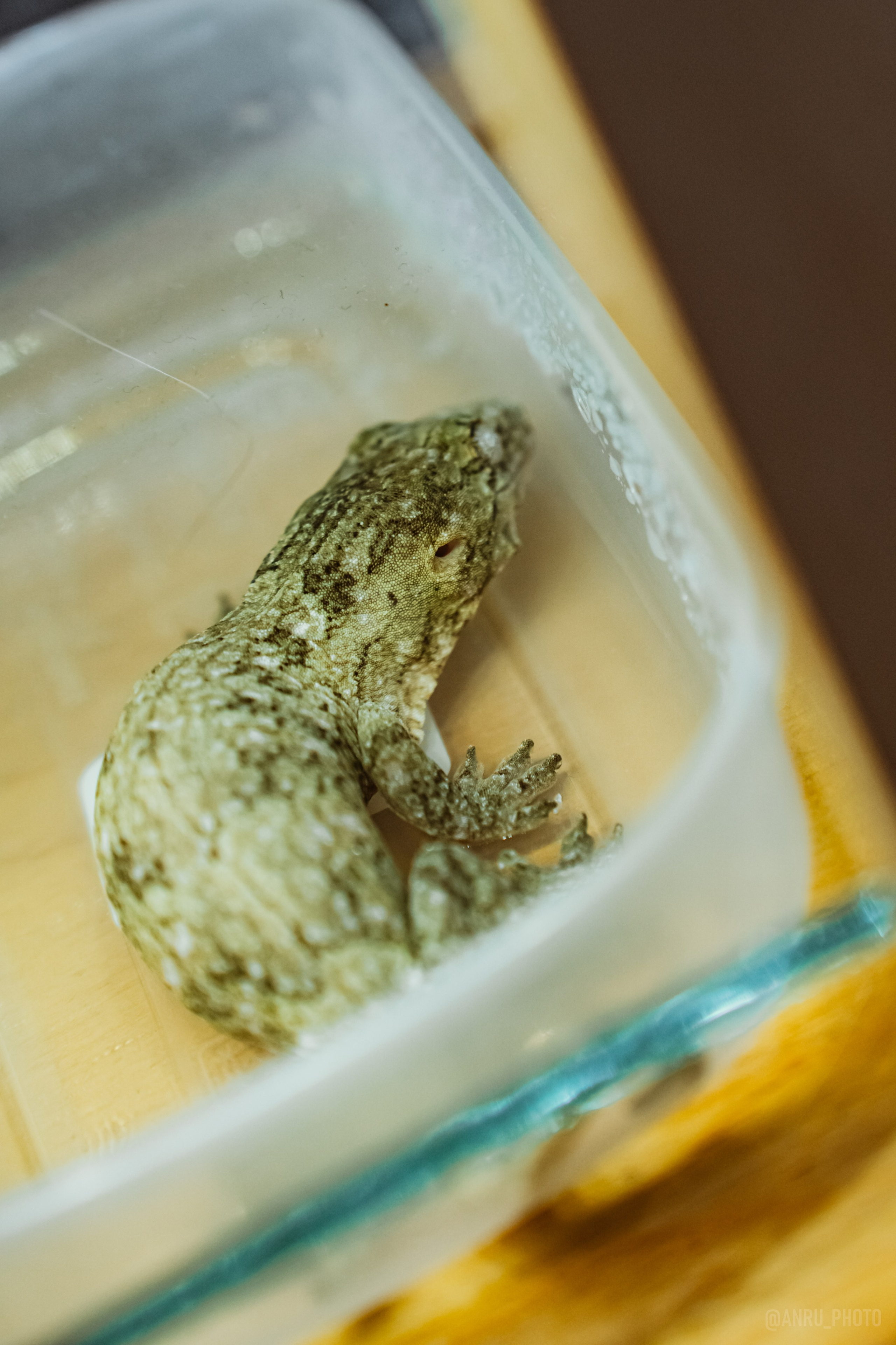 Рептилиум. Репортажный фотограф Анастасия Рубцова