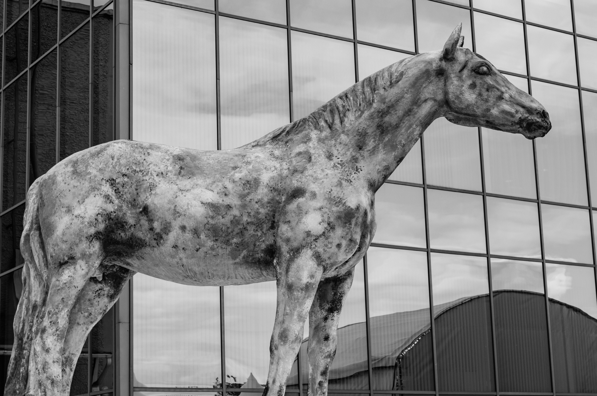 Открытие летнего сезона ЦНКТ. Репортажный фотограф Анастасия Рубцова