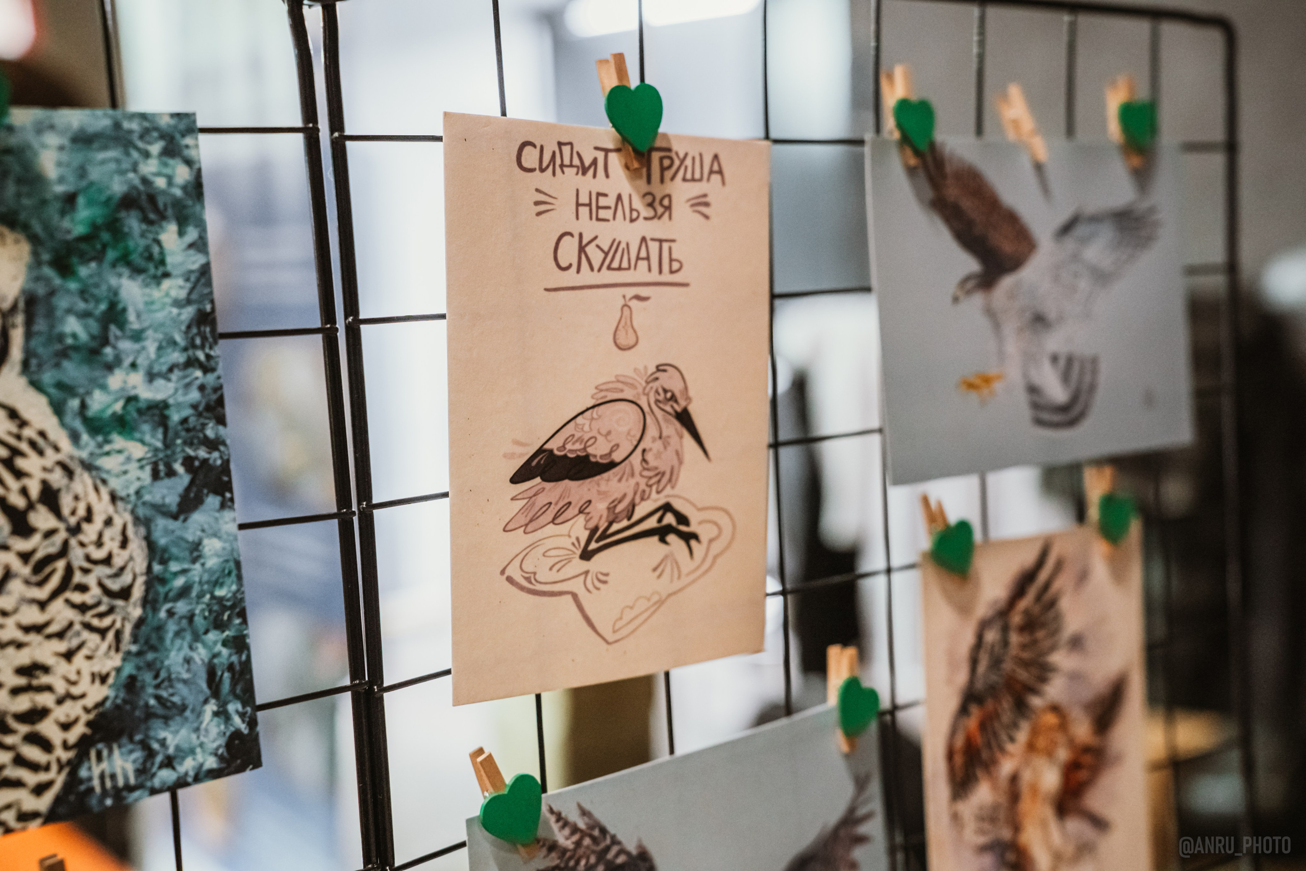 Рептилиум (ручная работа). Репортажный фотограф Анастасия Рубцова