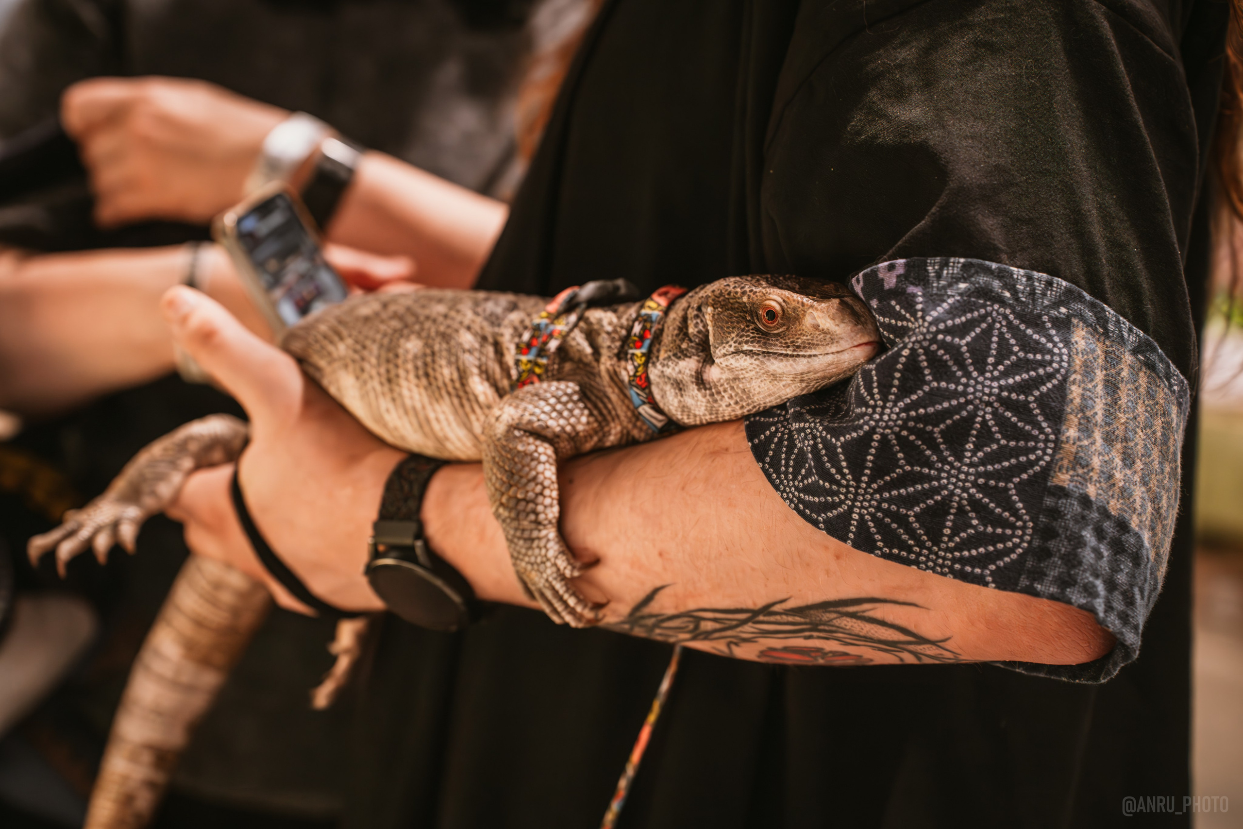 Рептилиум. Репортажный фотограф Анастасия Рубцова