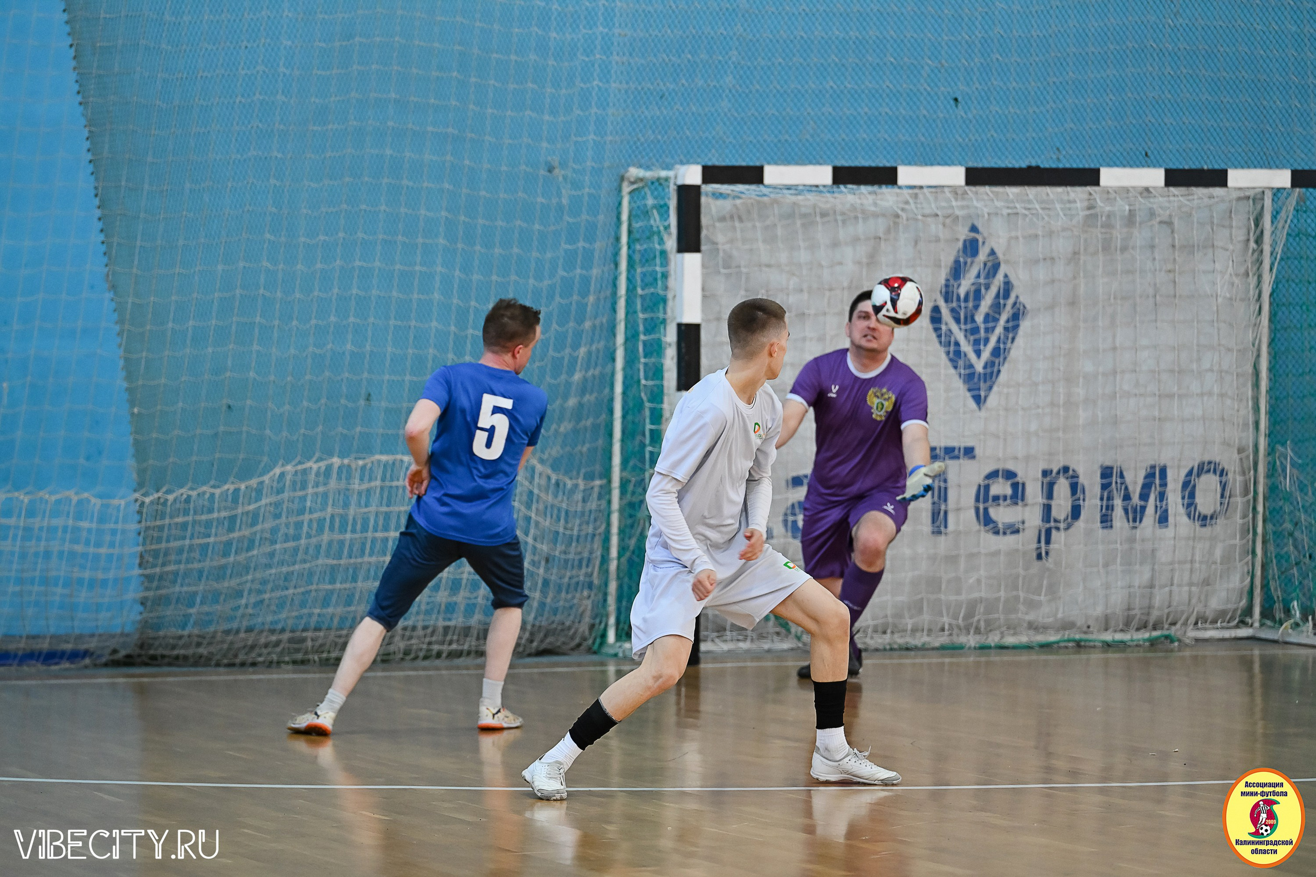 МФЛ СанТермо. VIBECITY.RU Вайб Сити Ру Фоторепортажи Фотоотчеты Калининград