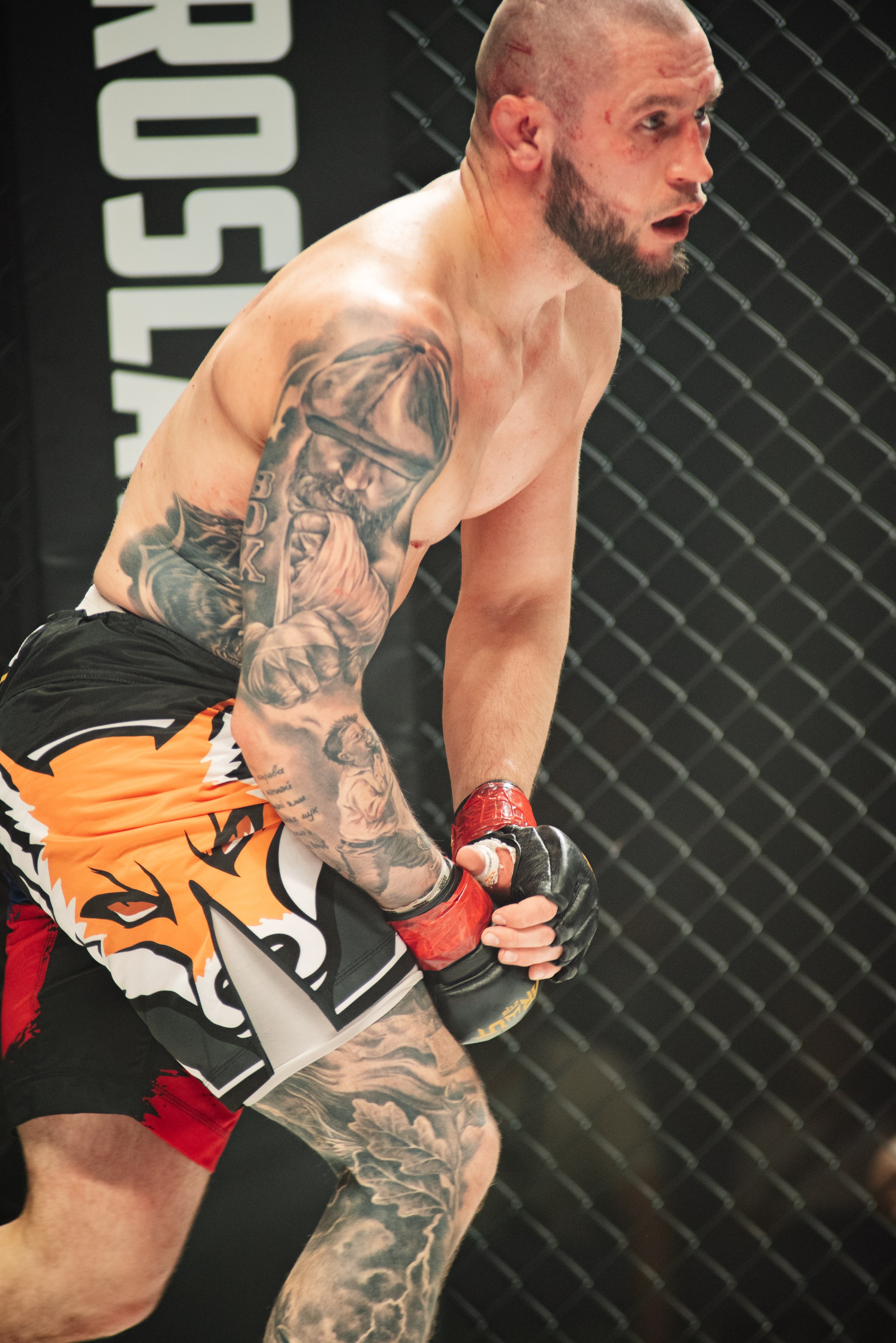 Miroslava Fight