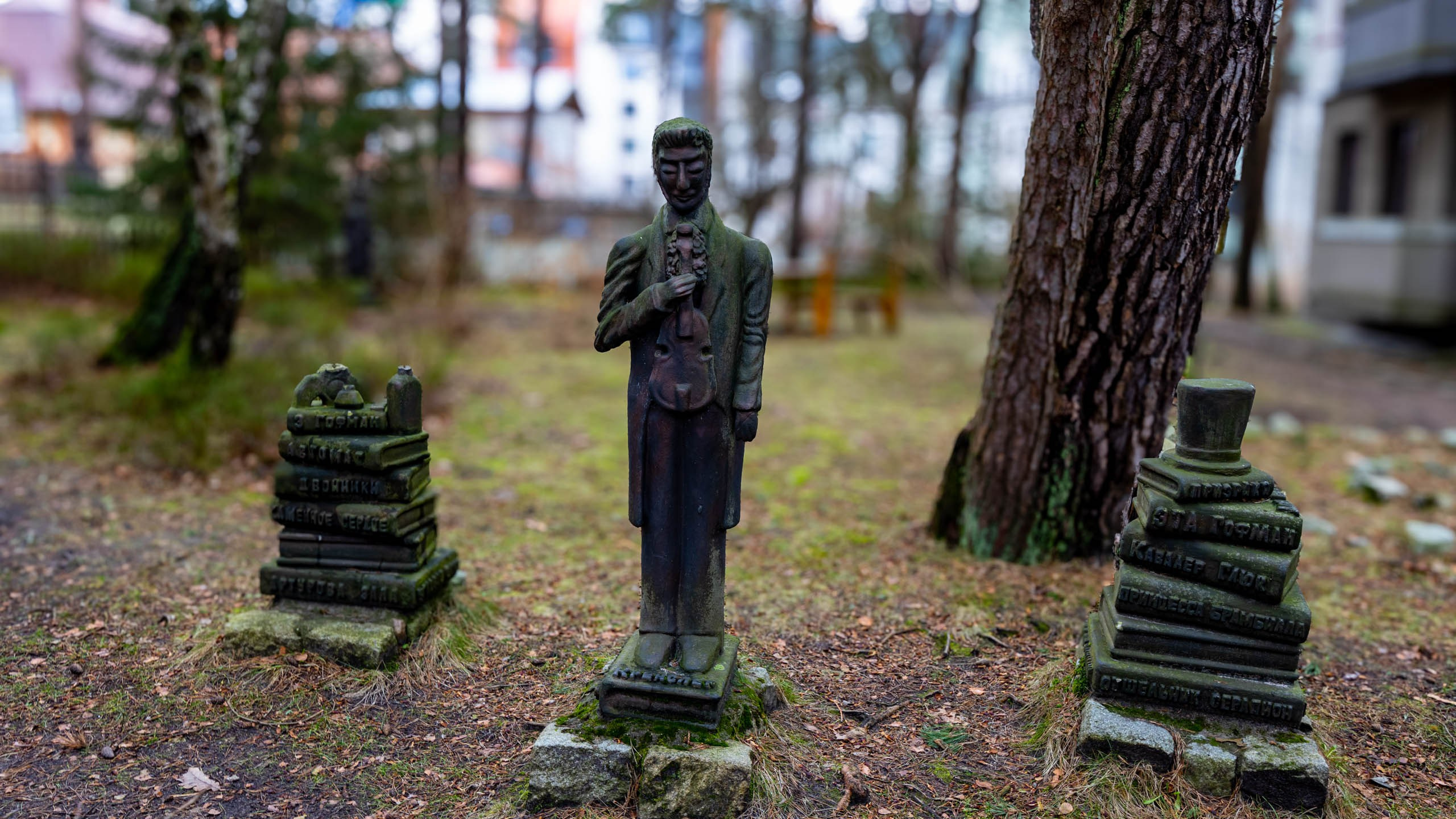 2024 01 Калининград (Светлогорск, Зеленоградск). Фотографии