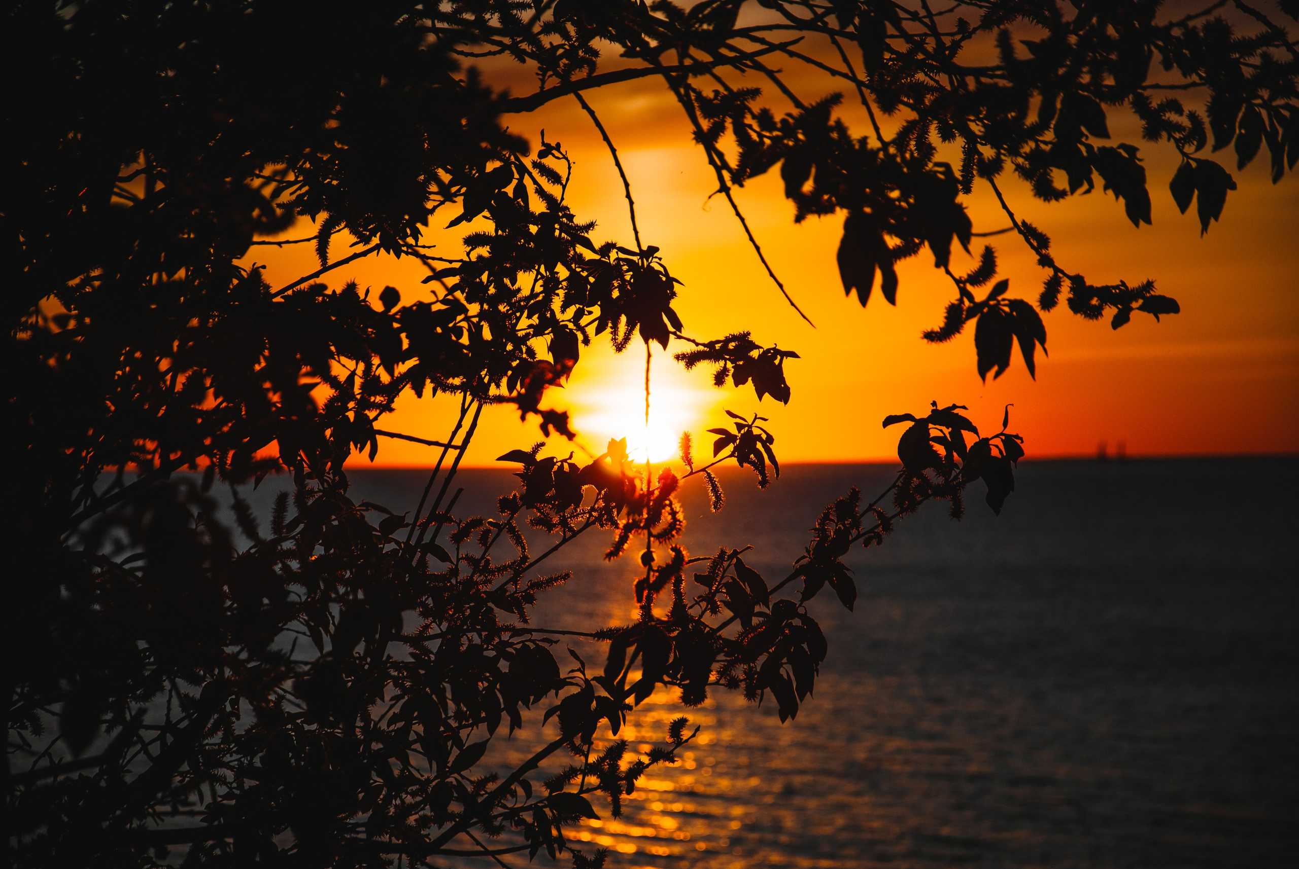 Закат/Залив. Портретный фотограф DanilNabody