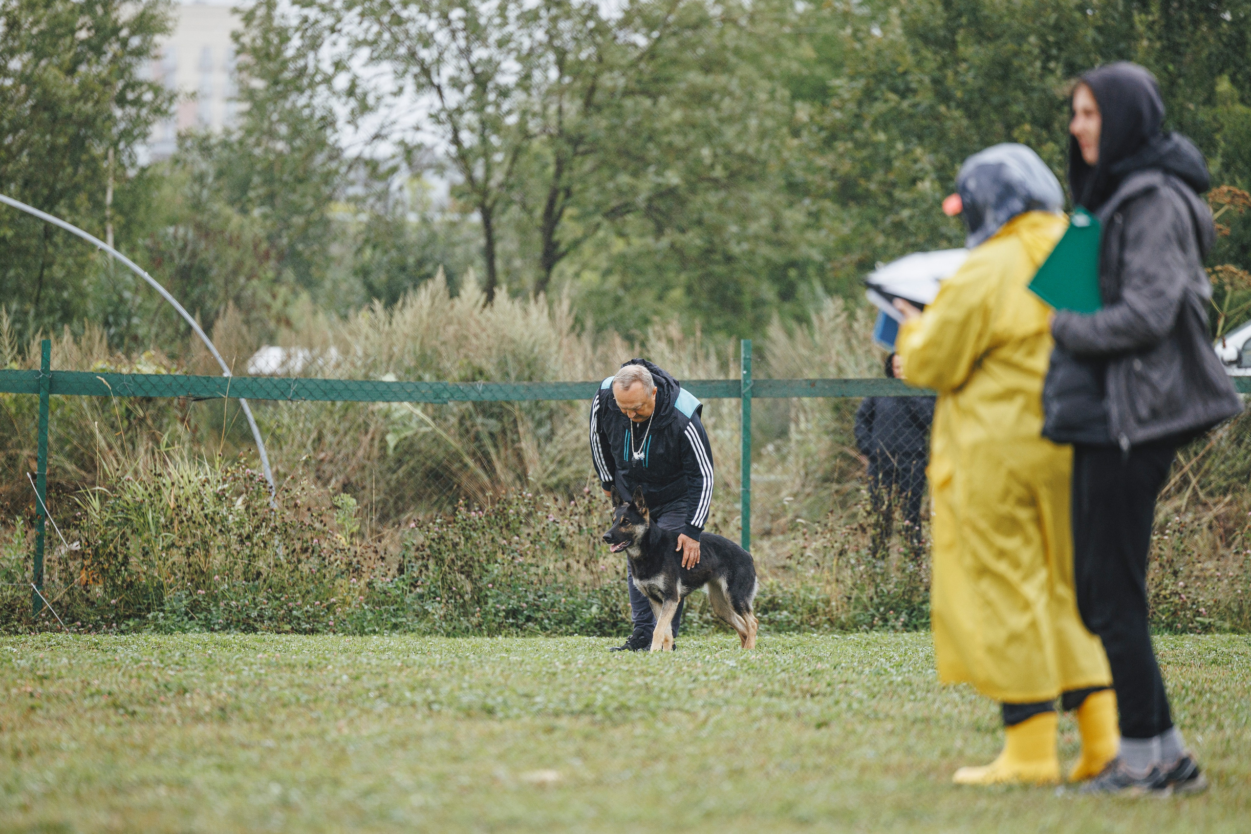 08.08.25-10.08.25 ЧР по мондьорингу г. Вологда. Фотограф-анималист Анна Маринич