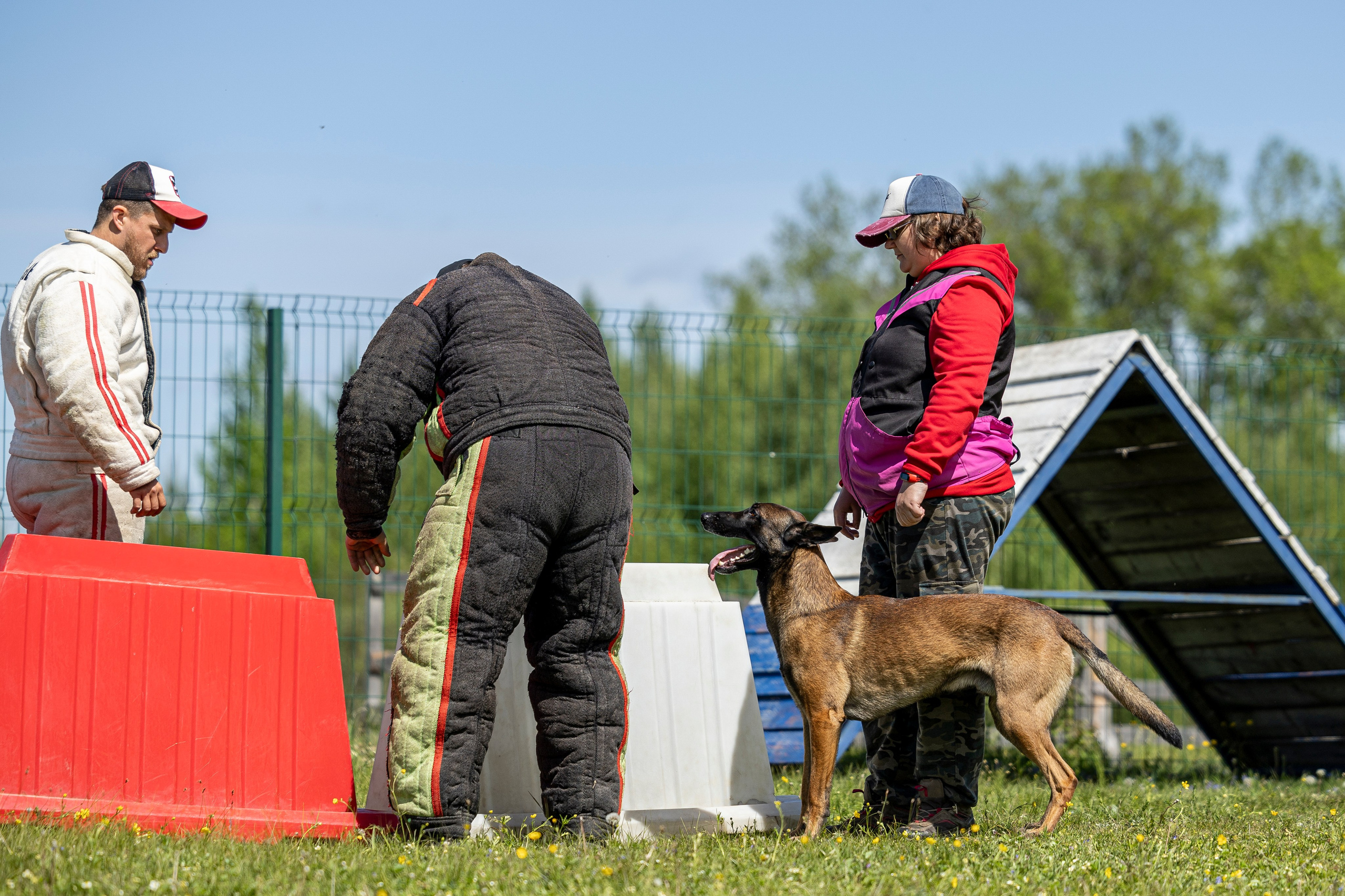 Испытания по мондьорингу в Нижнем Новгороде. Фотограф-анималист Анна Маринич