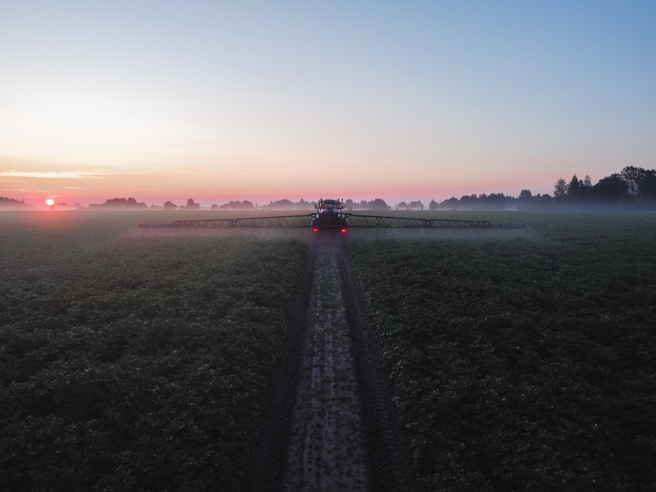 Удобрение картофеля при помощи трактора рано утром на рассвете