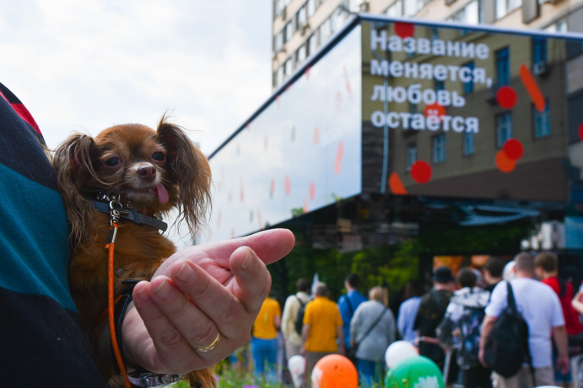 Репортаж. Антон Великжанин — фотокорреспондент