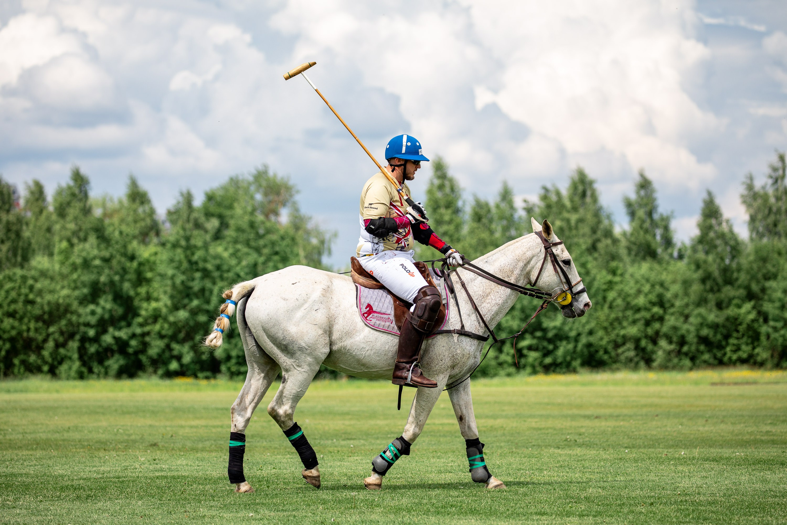 Конное поло. Mrs.Aquarelia Конный фотограф Марианна Леонтьева