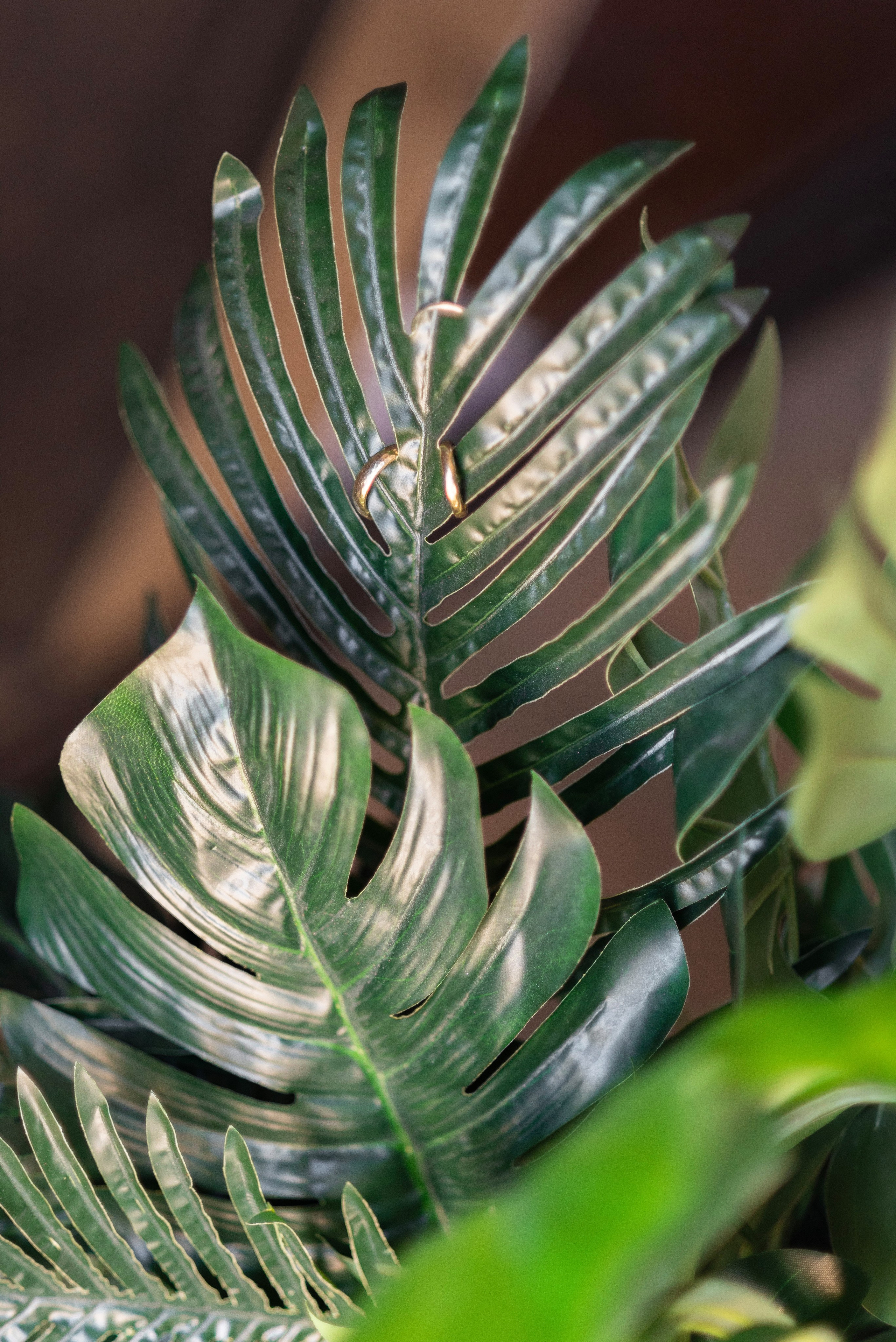 Кэти. Фотограф Юлия Попова