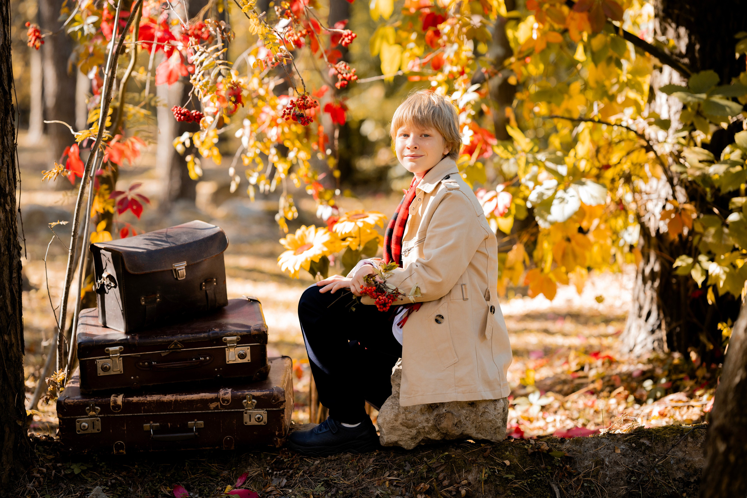 Осень 2. Фотограф Юлия Попова