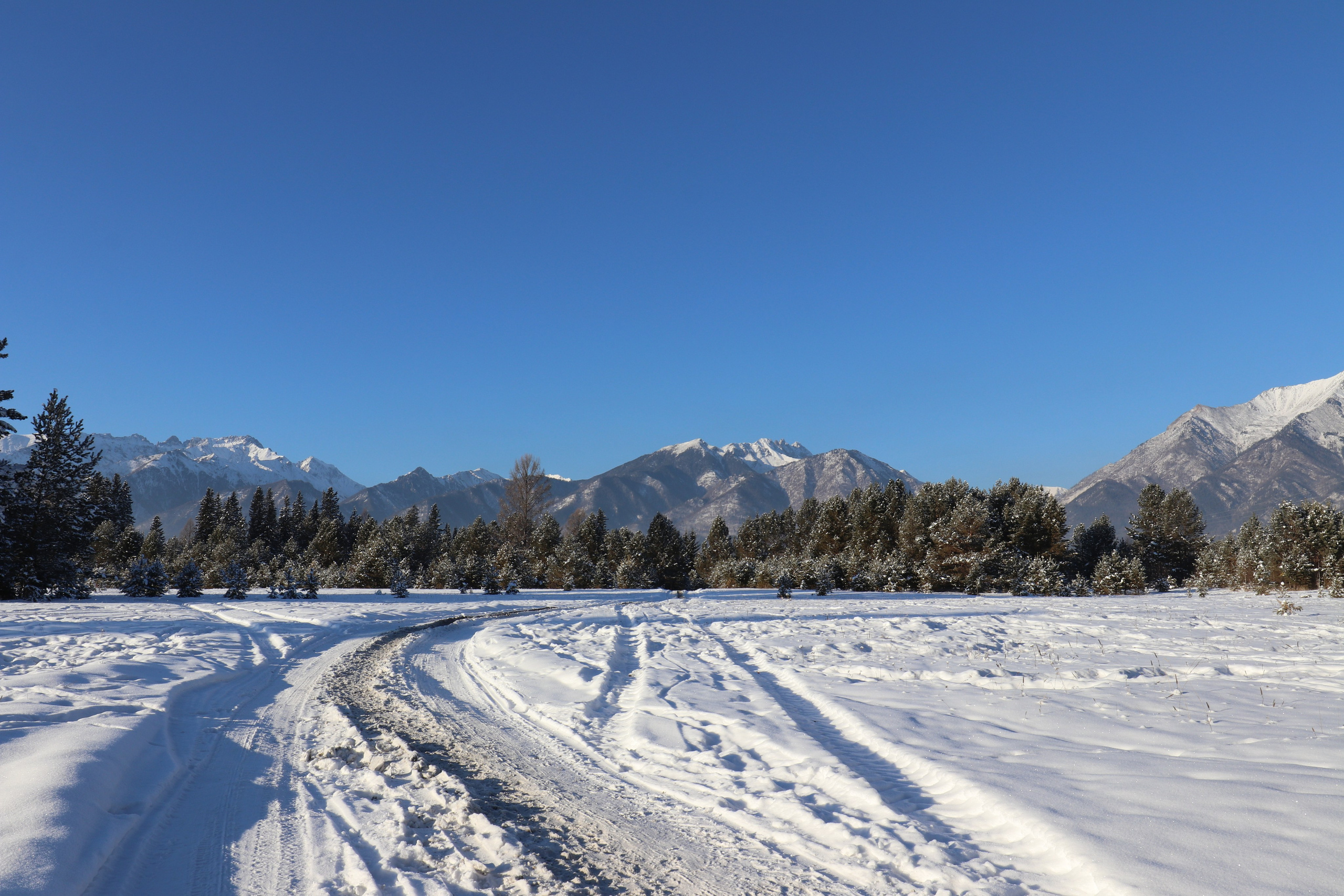 Аршан. Январь 2022. Путешественник-фотограф из Санкт-Петербурга Татьяна Свистулина