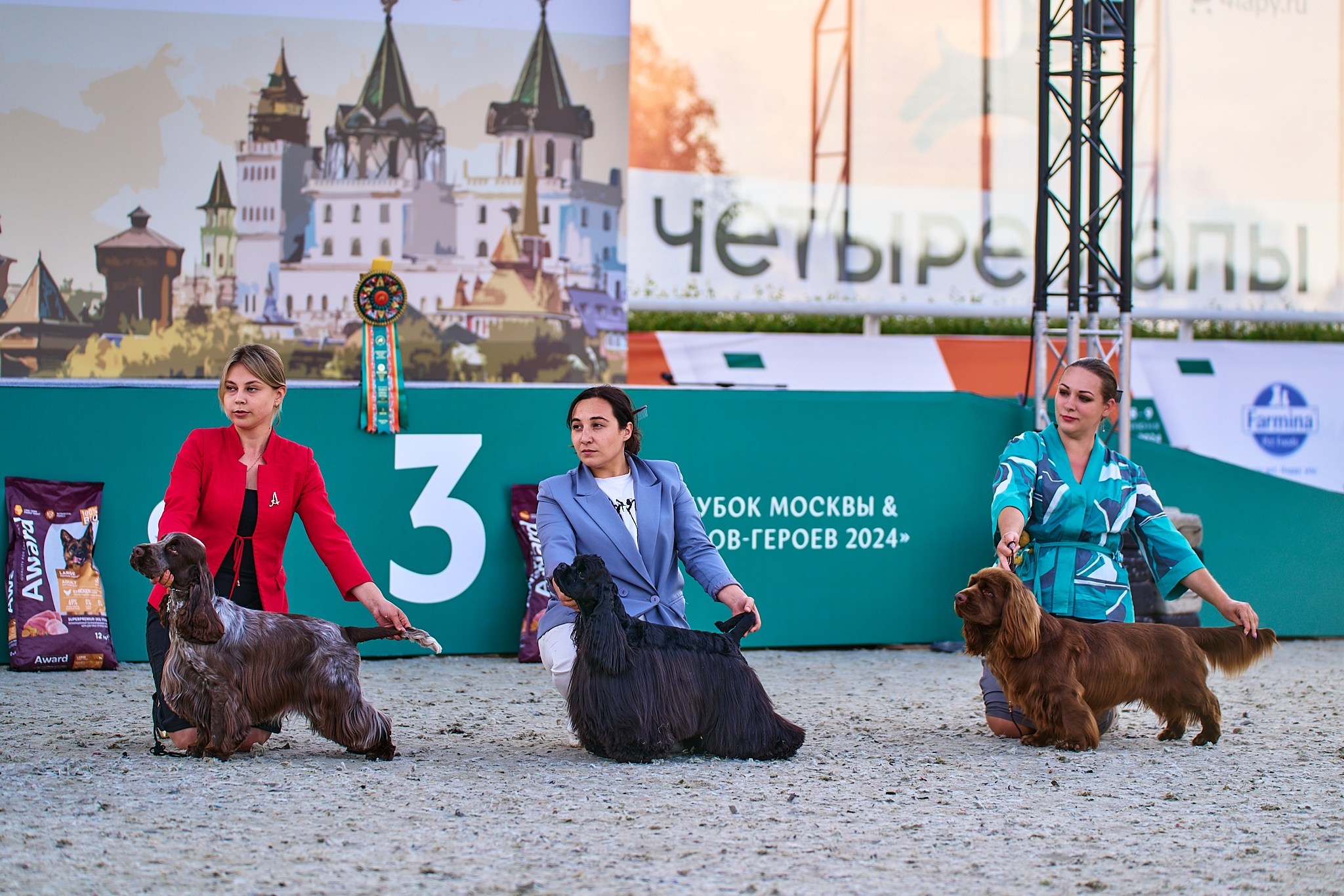 08.06.2024 «РОССИЯ. КУБОК РКФ 2024»