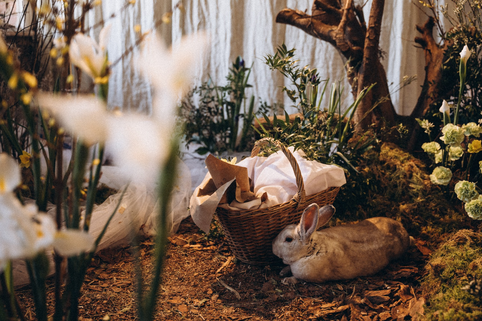 Фея в саду. Даша Яковенко Фотограф Спб