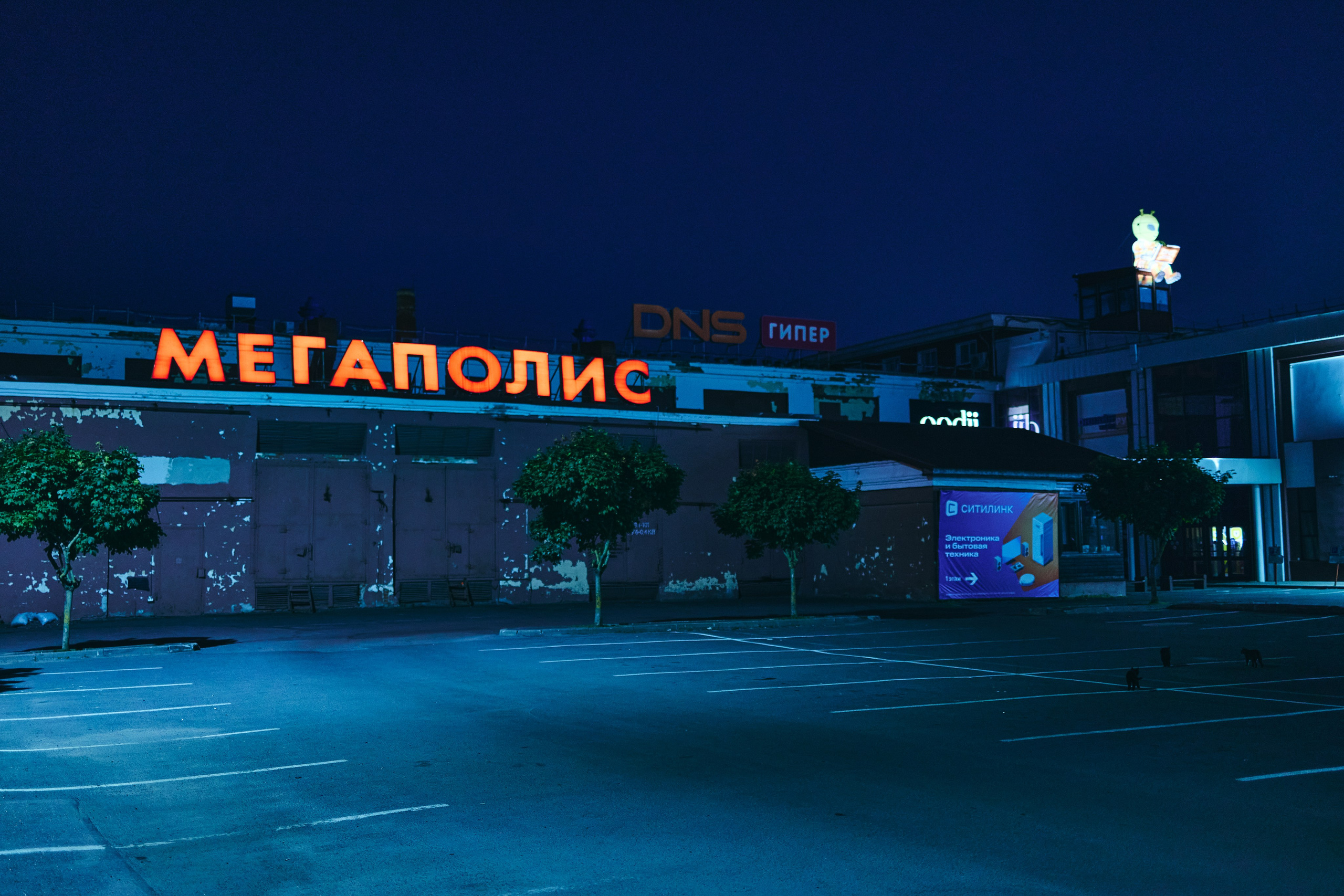 ph: Шабунаев Михаил