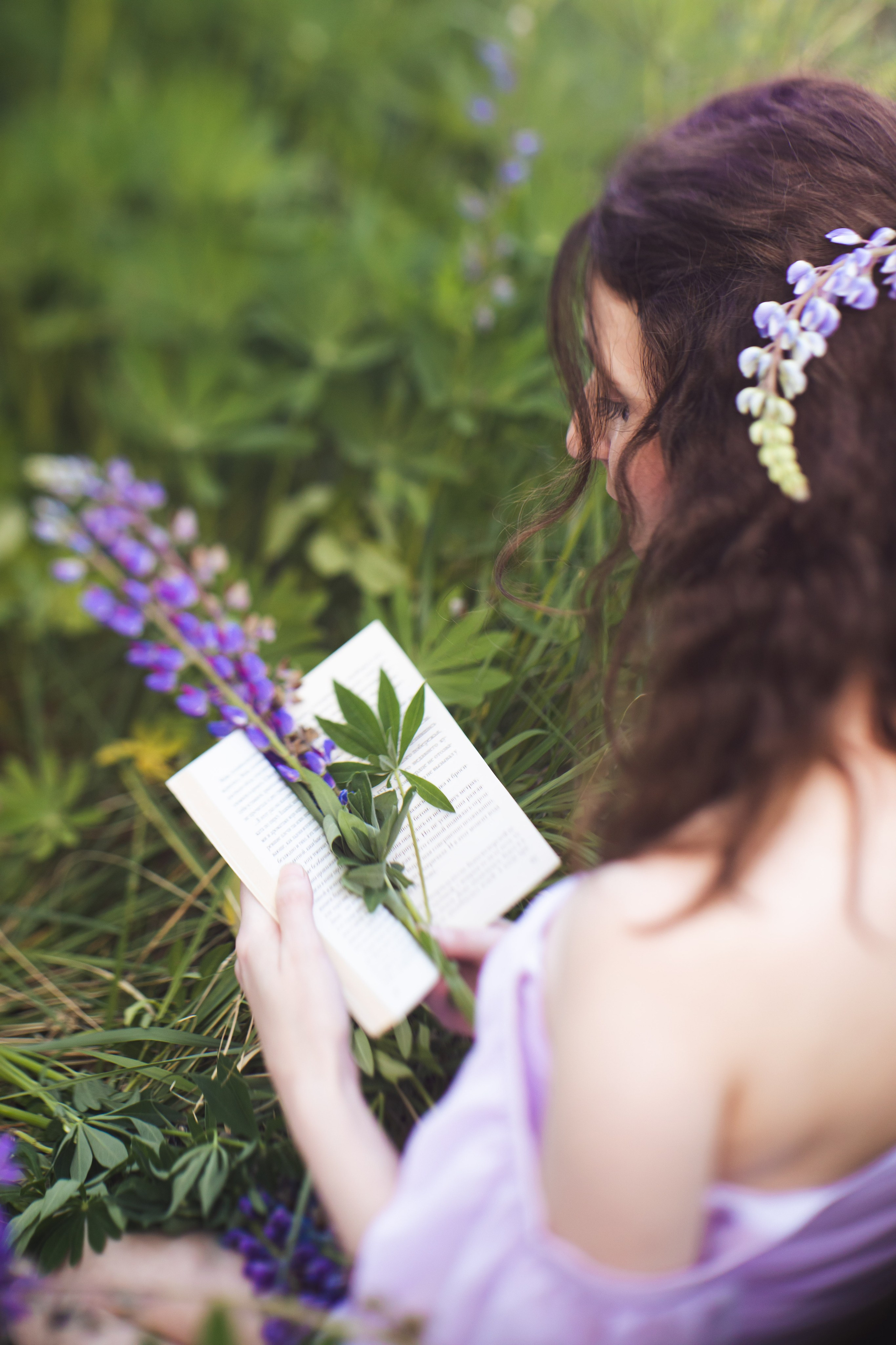 Люпиновое поле. Юлия Башкатова, сказочный фотограф, Москва