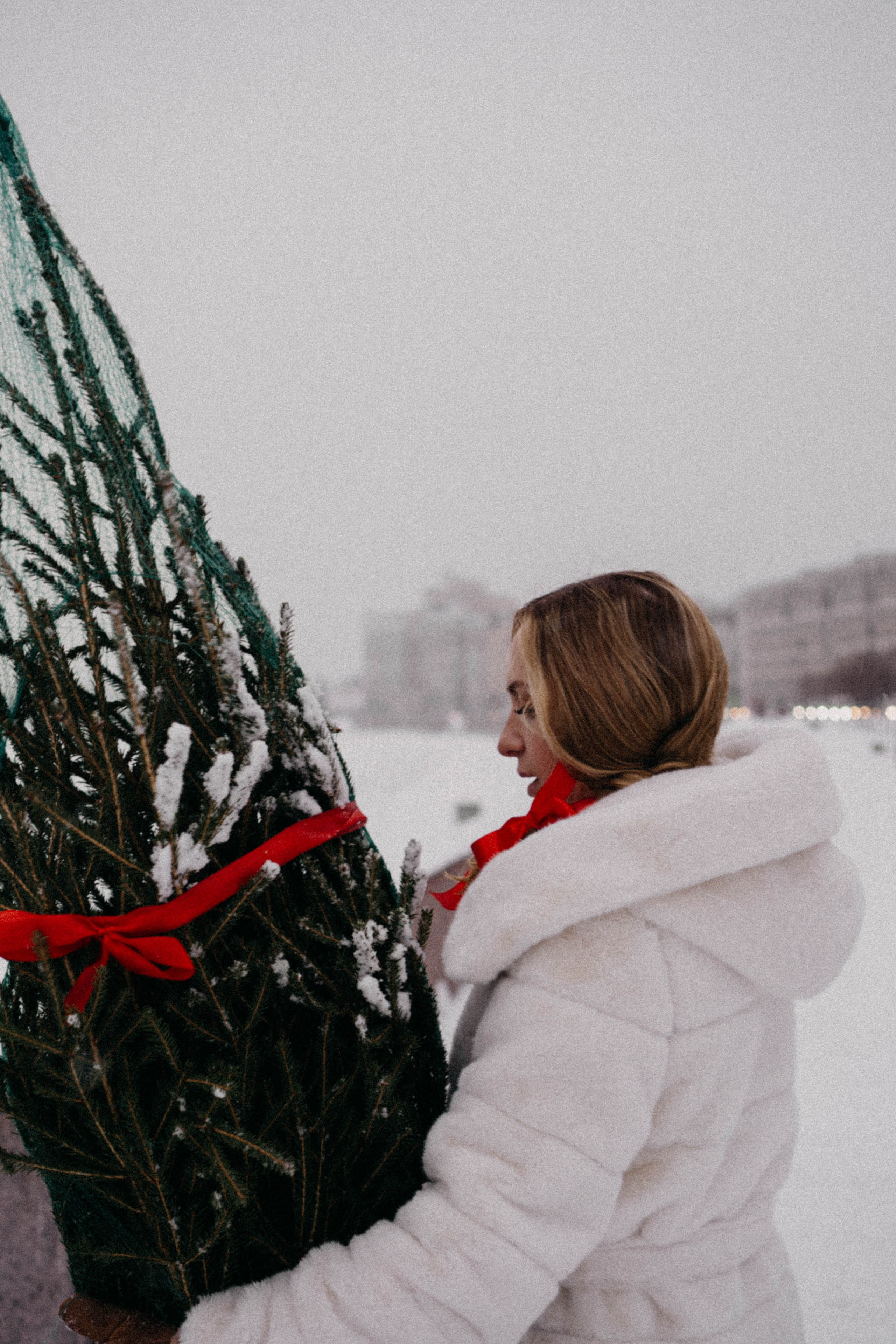 Новогодняя. Профессиональный фотограф, Санкт-Петербург — Виктория Богомолова