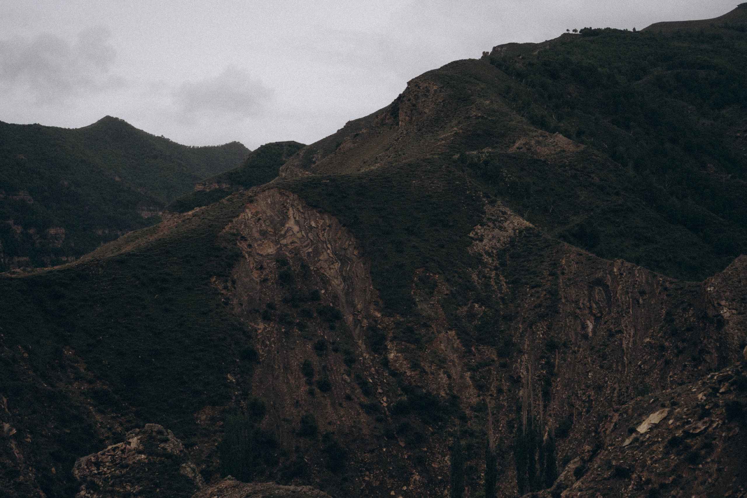 Кавказ. Профессиональный фотограф, Санкт-Петербург — Виктория Богомолова