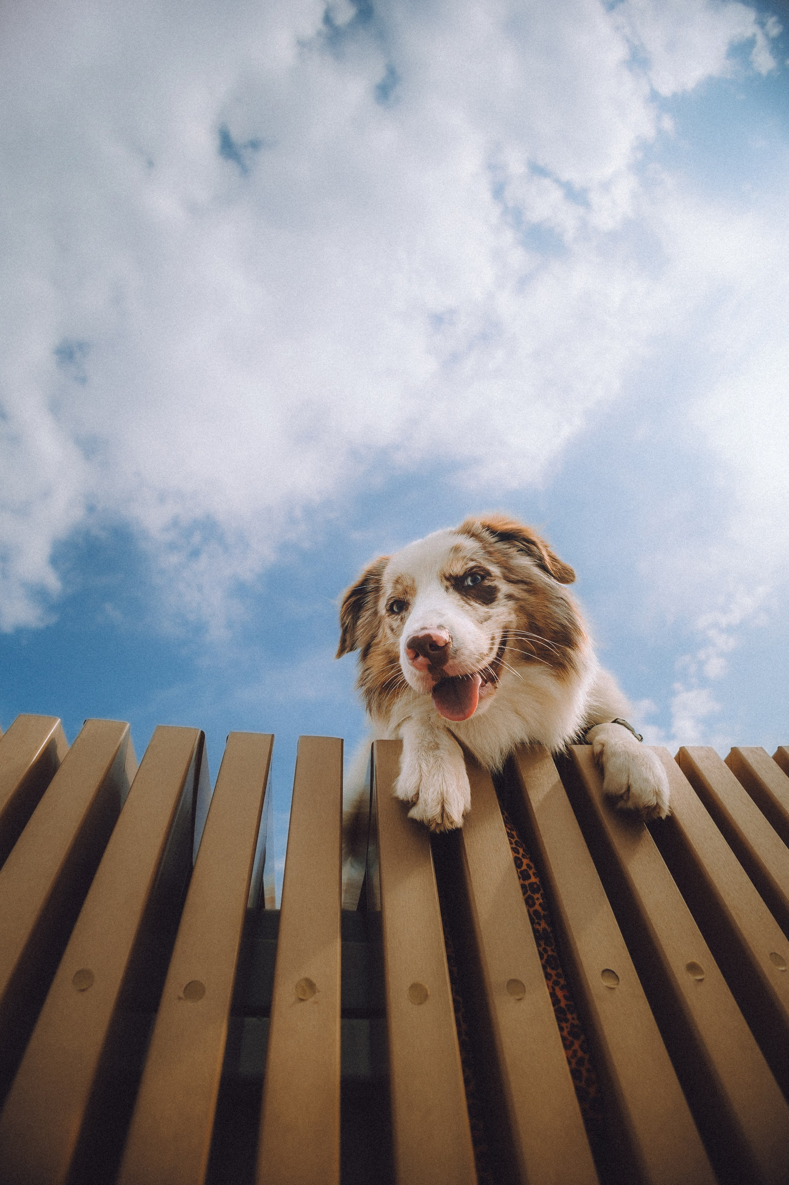 Один и его семья