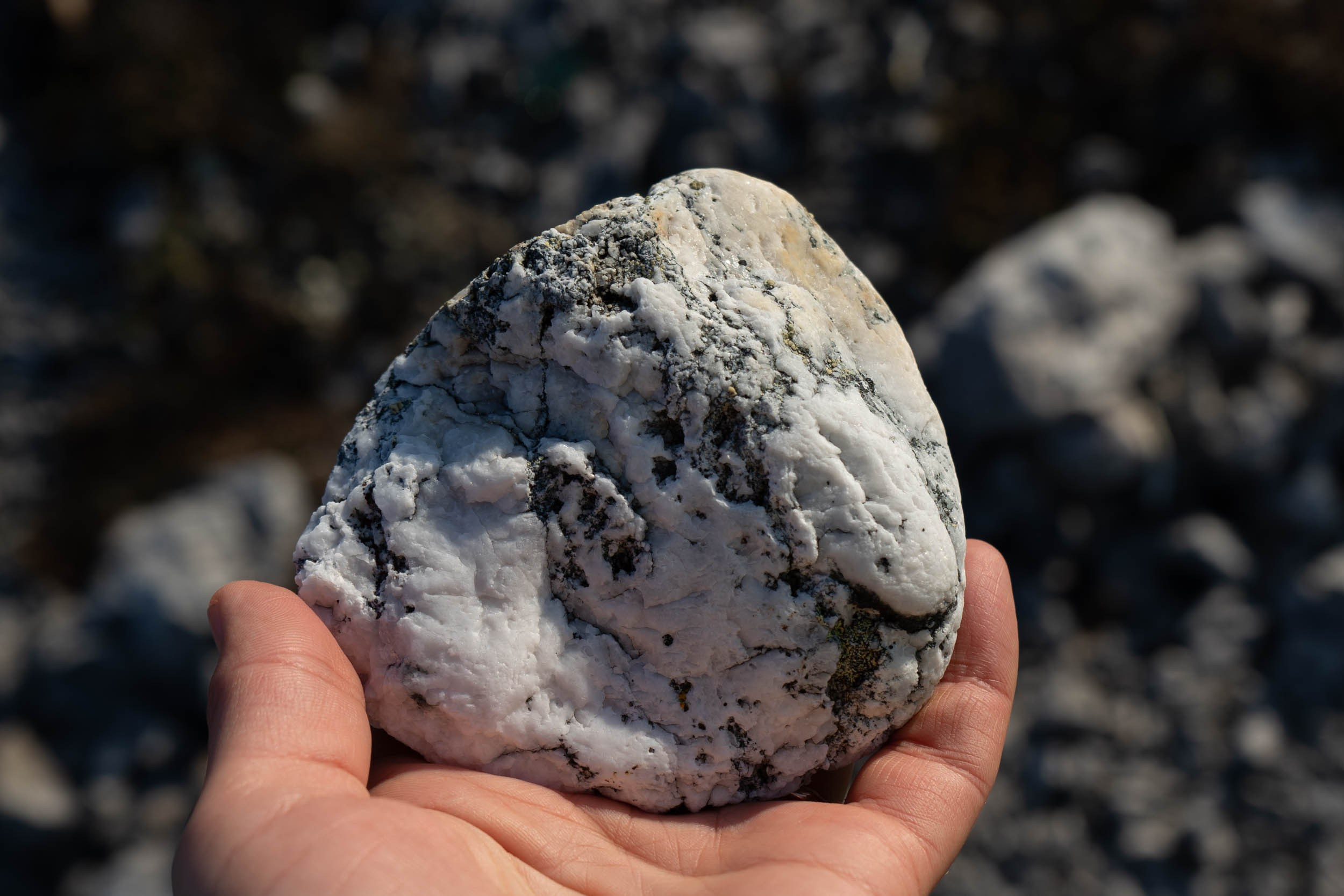 Рифы девонского моря. Фотограф Екатерина Зорина