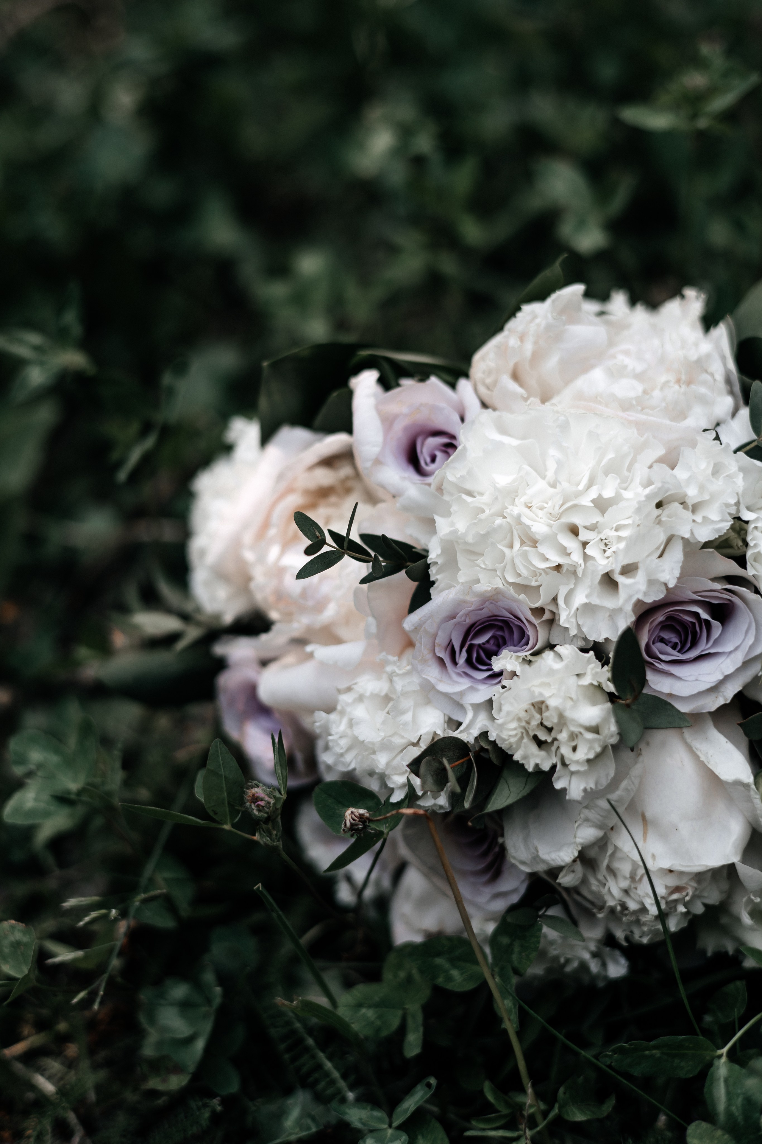 Свадьба. Семейный и свадебный фотограф в Ульяновске