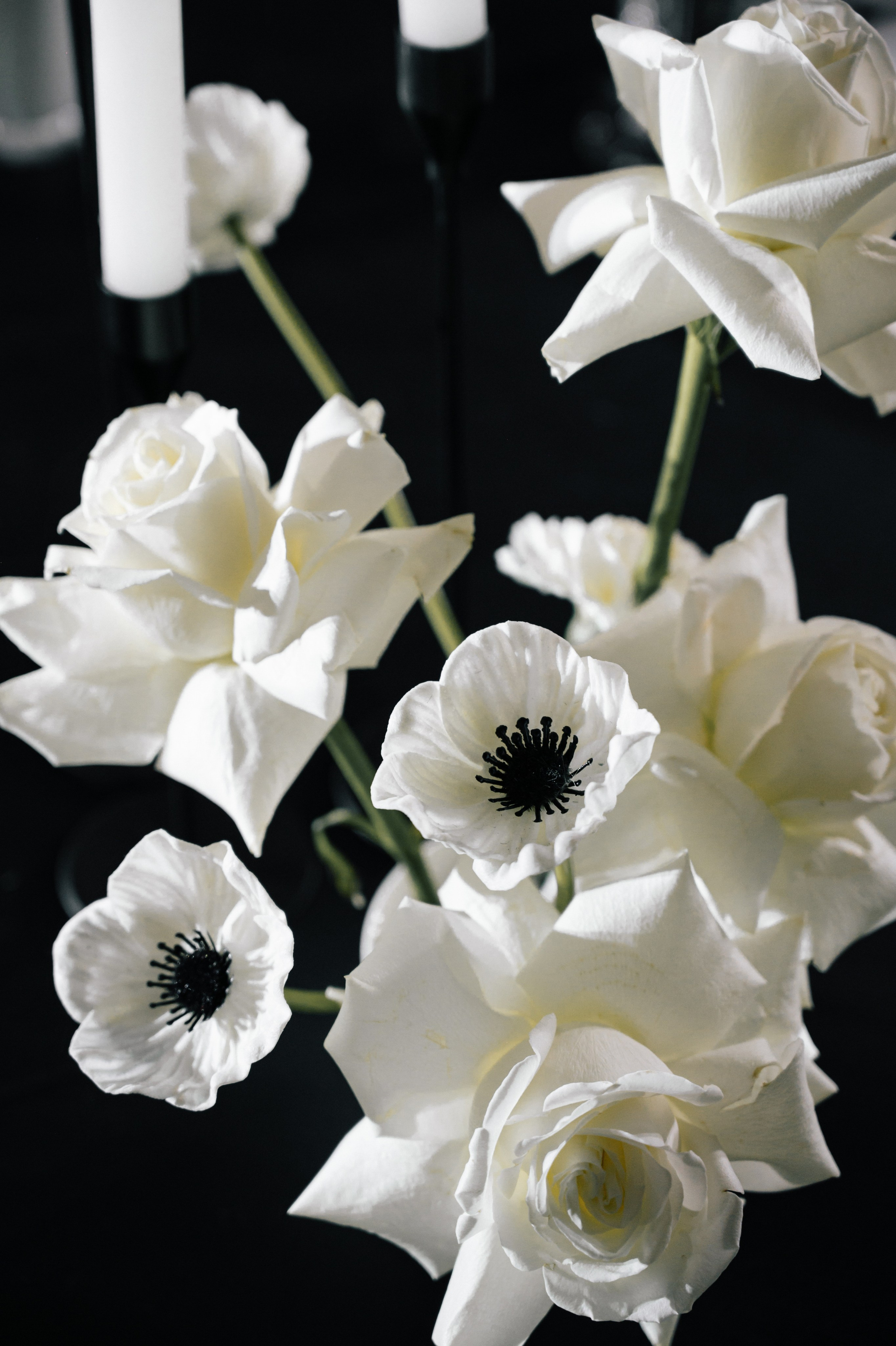 Sabina and Dmitry. Свадебный и семейный фотограф Вероника Холод