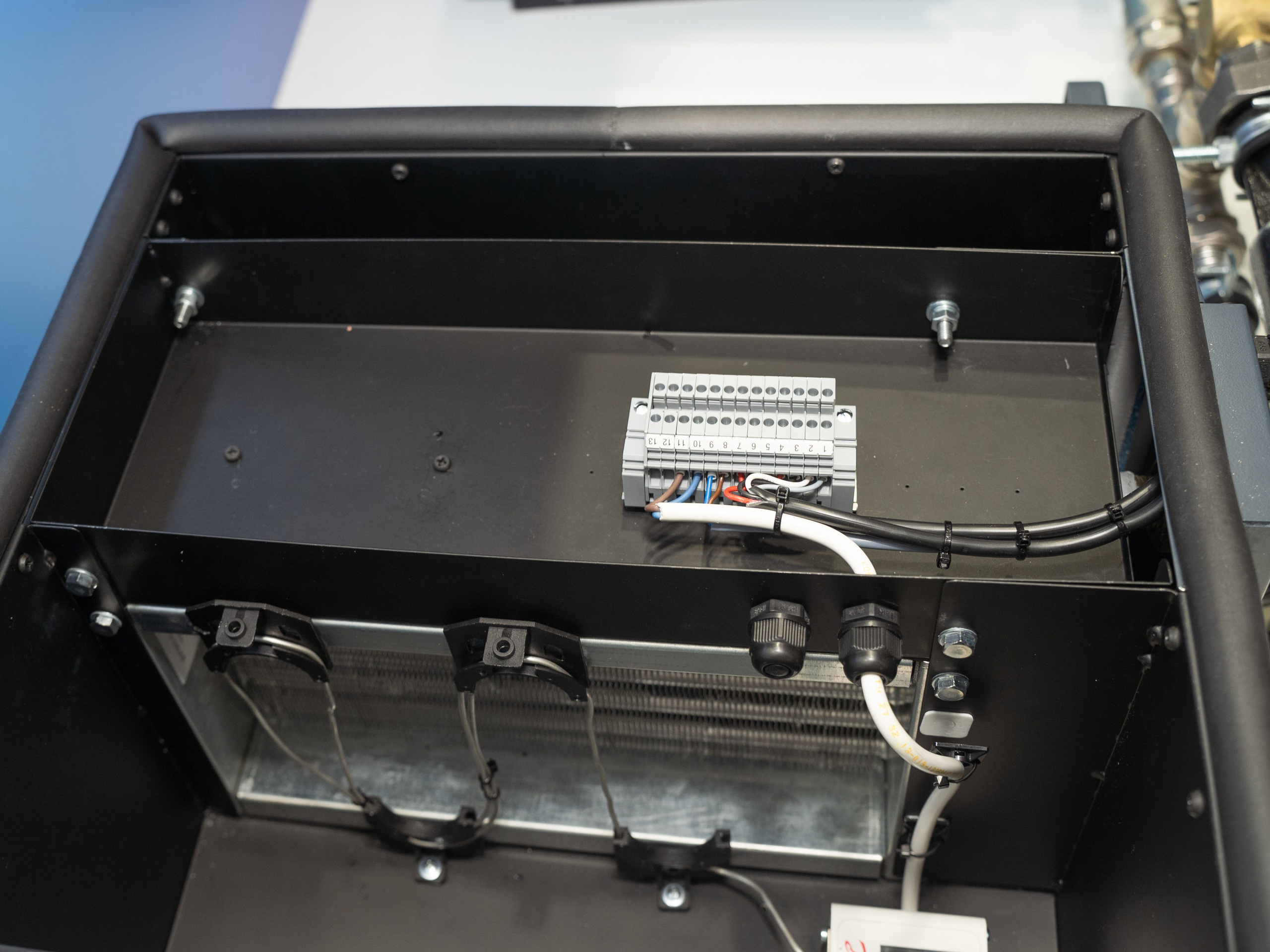 Крокус Вентиляция. Фотограф Зинаида Евдокимова