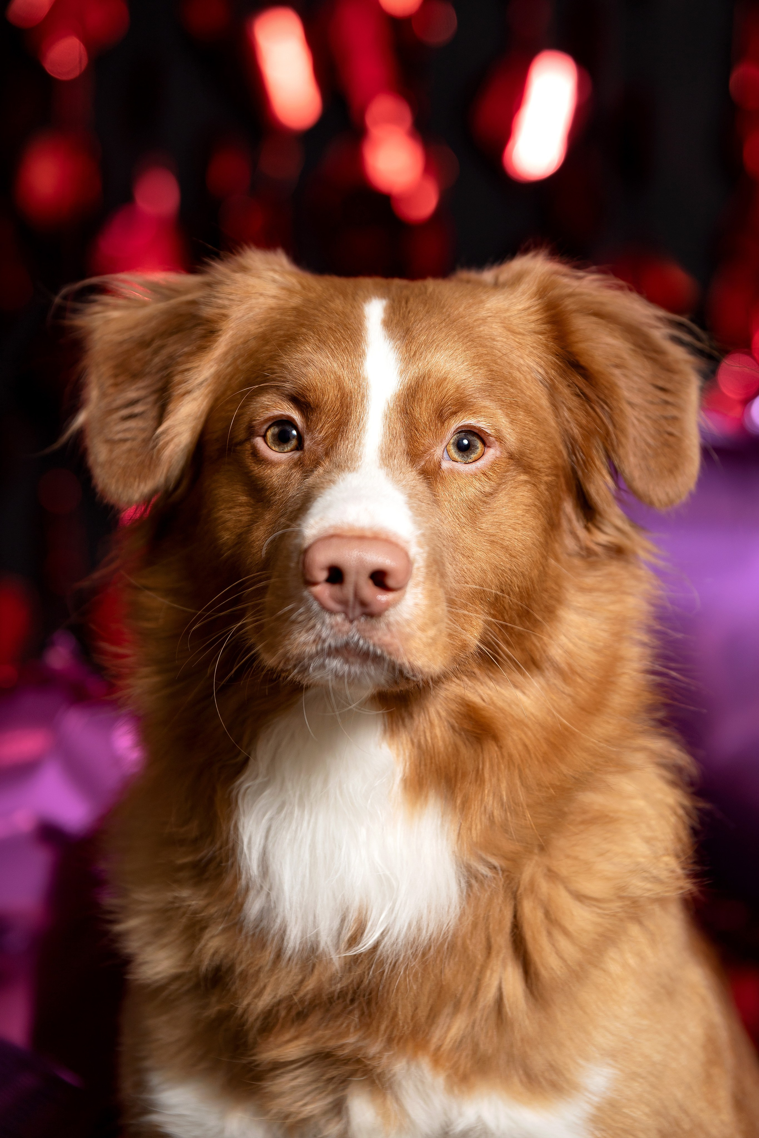 Ричард. Юлия Микульская. Рыбинск