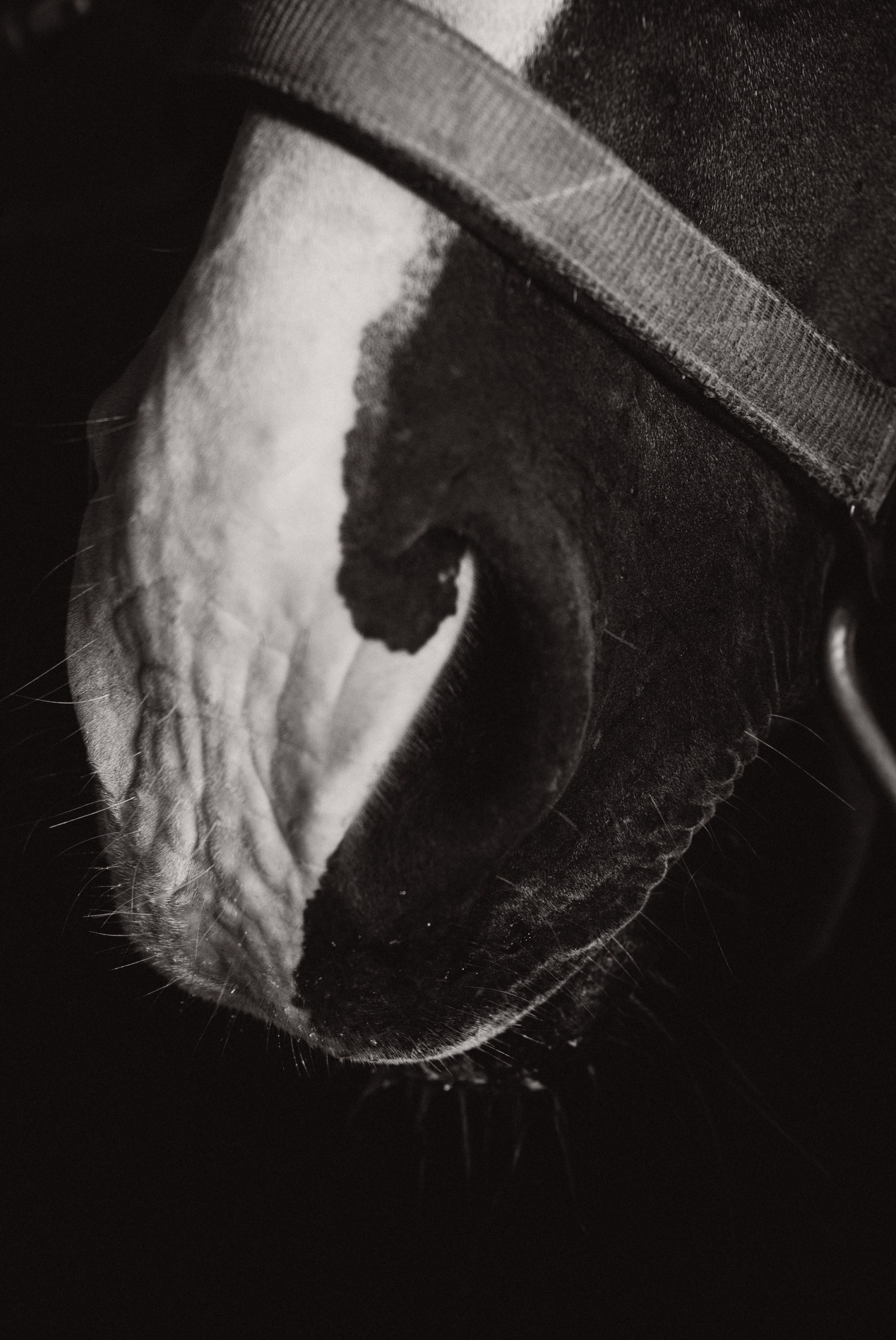 Иваново детство. Семейный свадебный фотограф Екатеринбург Первоуральск Шарнина Алёна