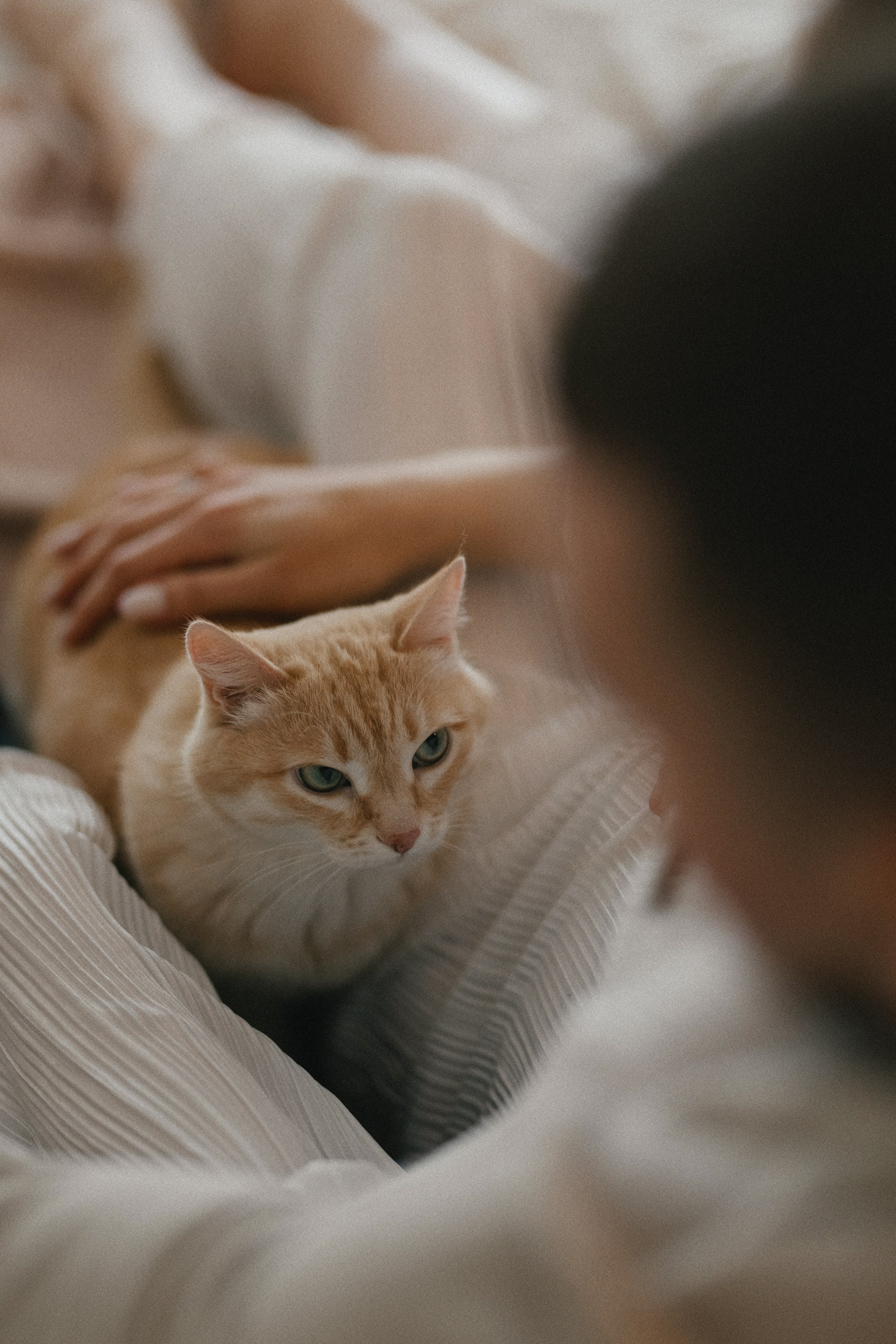 «ЖДЕМ СВОЕГО ЛУЧШЕГО ДРУГА». Maria Startseva Photo