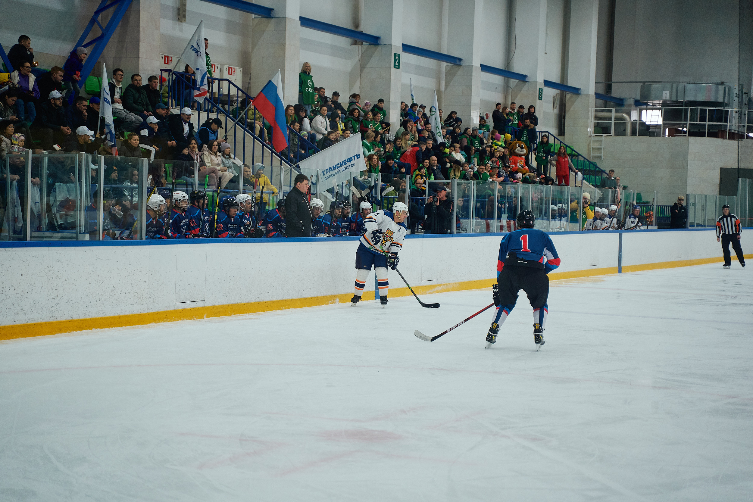 Транснефть и Газпром дружеский матч по хоккею. Фотограф в Хабаровске