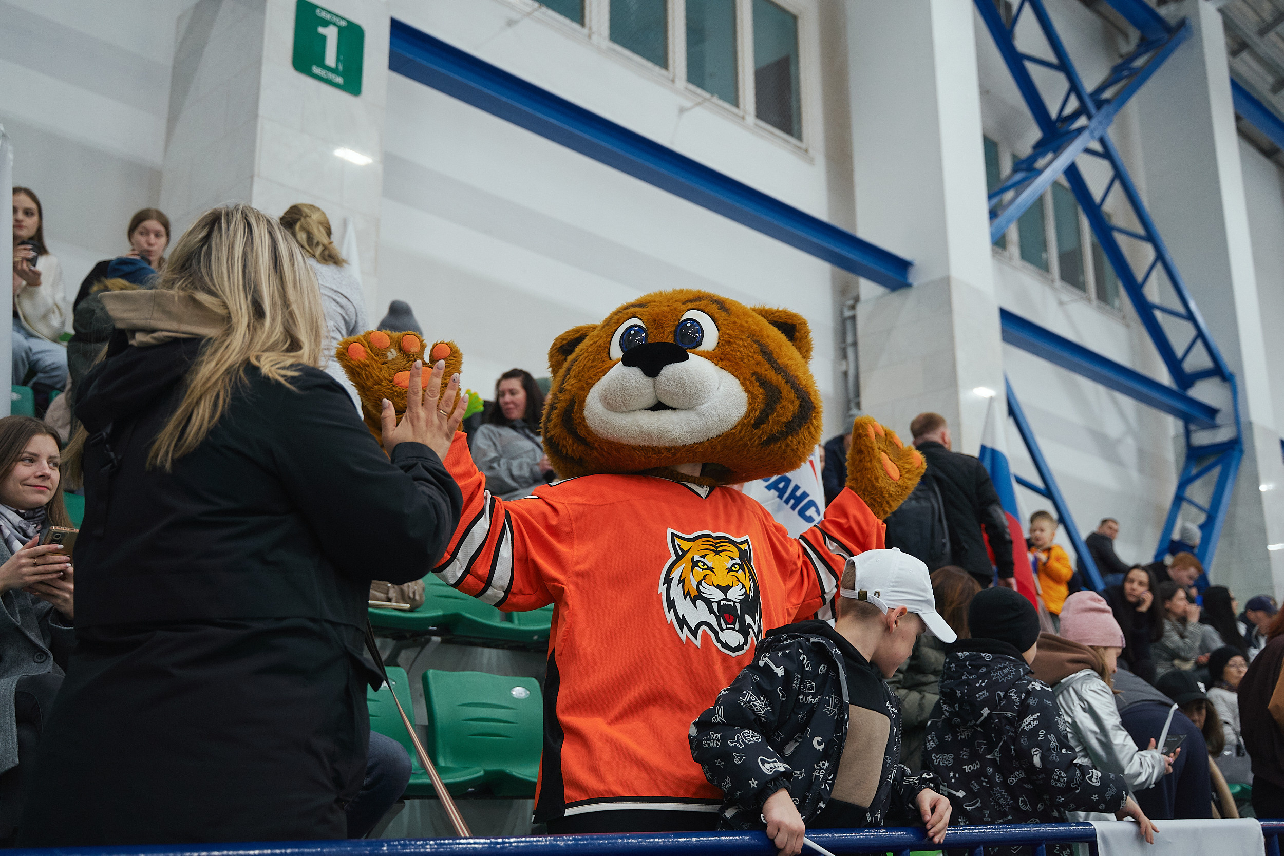 Транснефть и Газпром дружеский матч по хоккею. Фотограф в Хабаровске