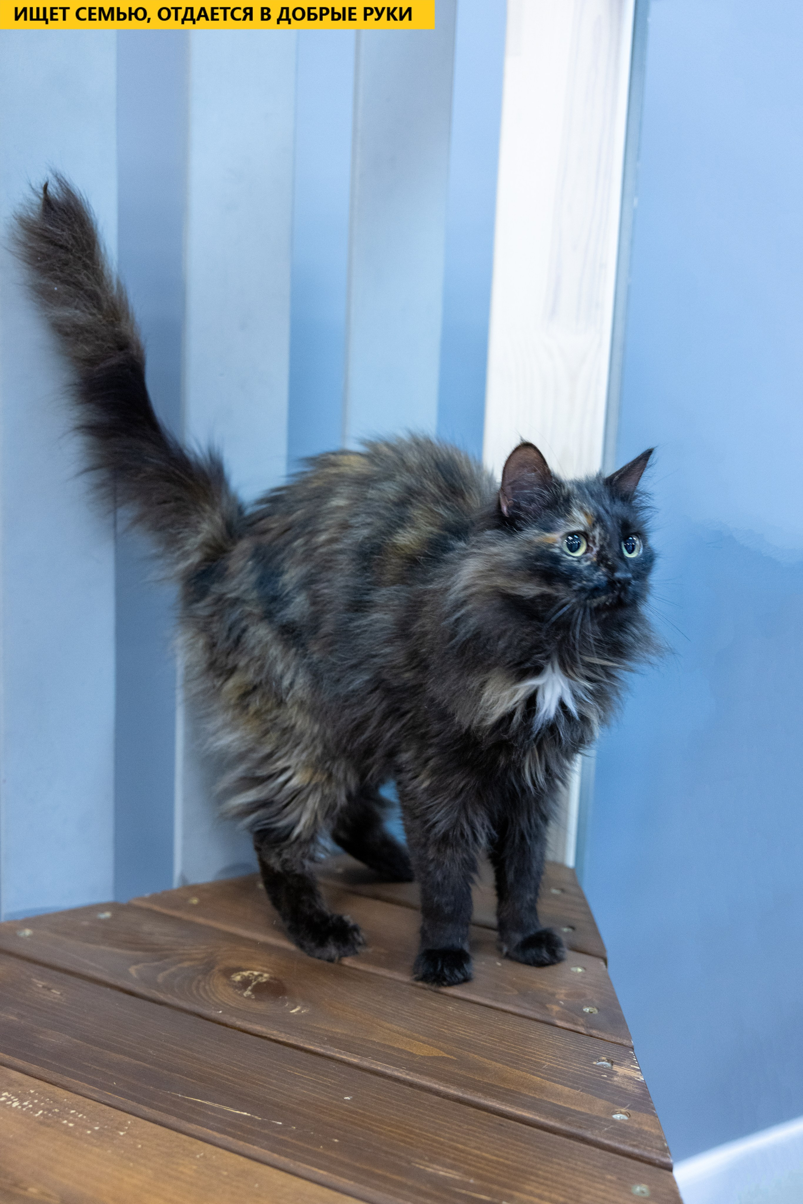 Рекламная съемка в Москве. Геннадий Степанов —фотограф в Москве