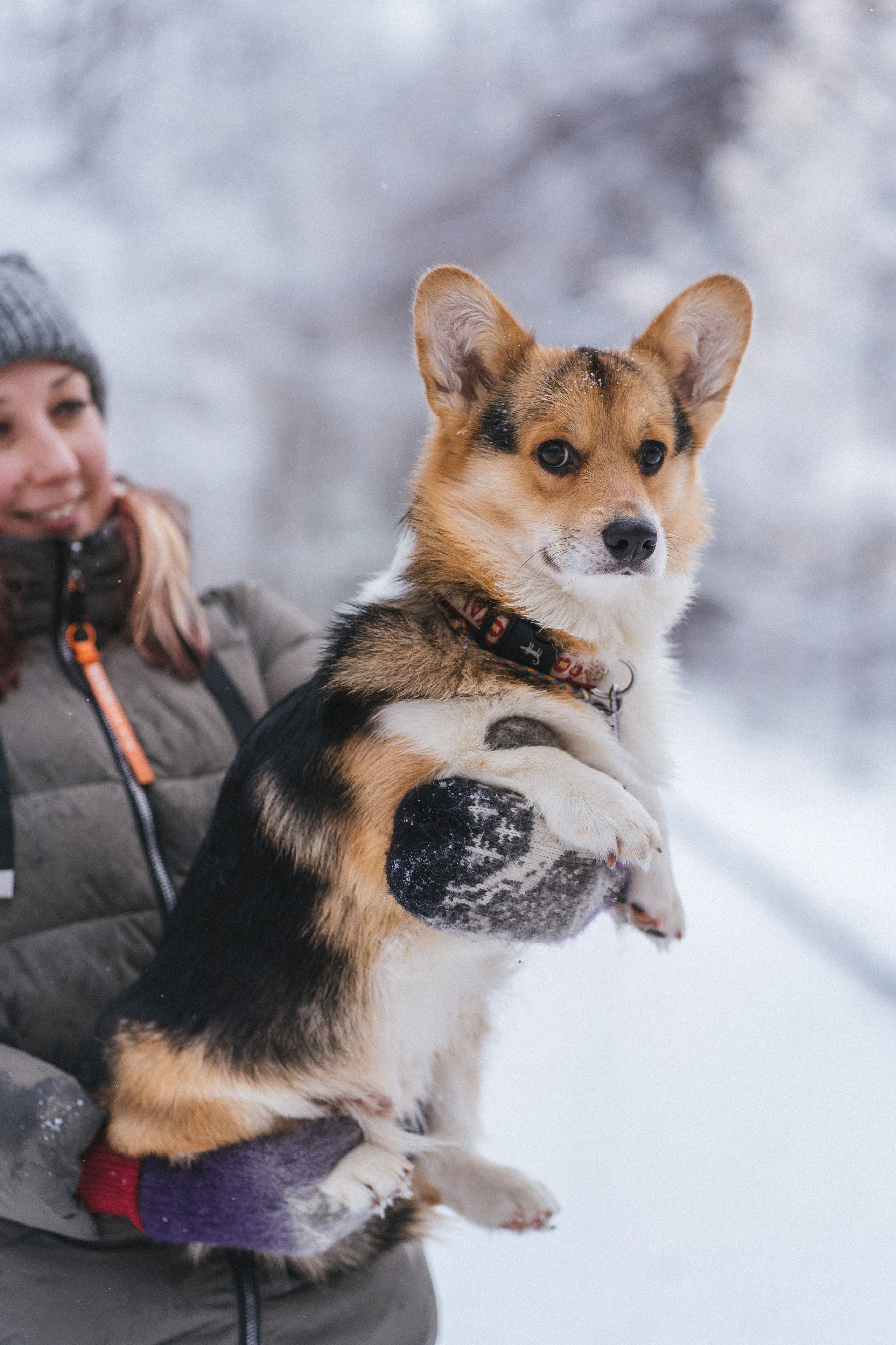 Каспер и Полина. Свадебный фотограф в Москве Анна Полушина