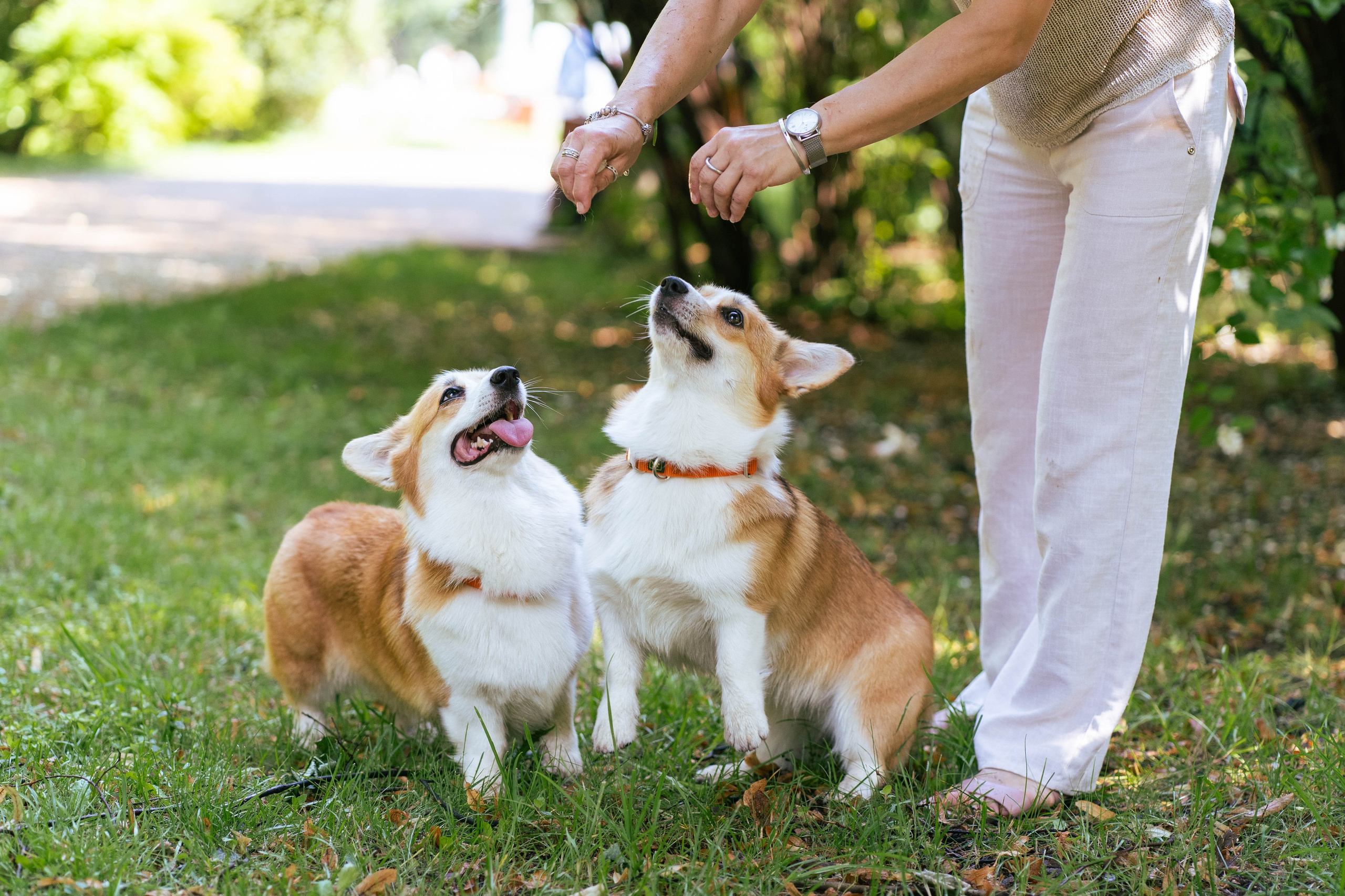 Ольга и коржики. Свадебный фотограф в Москве Анна Полушина