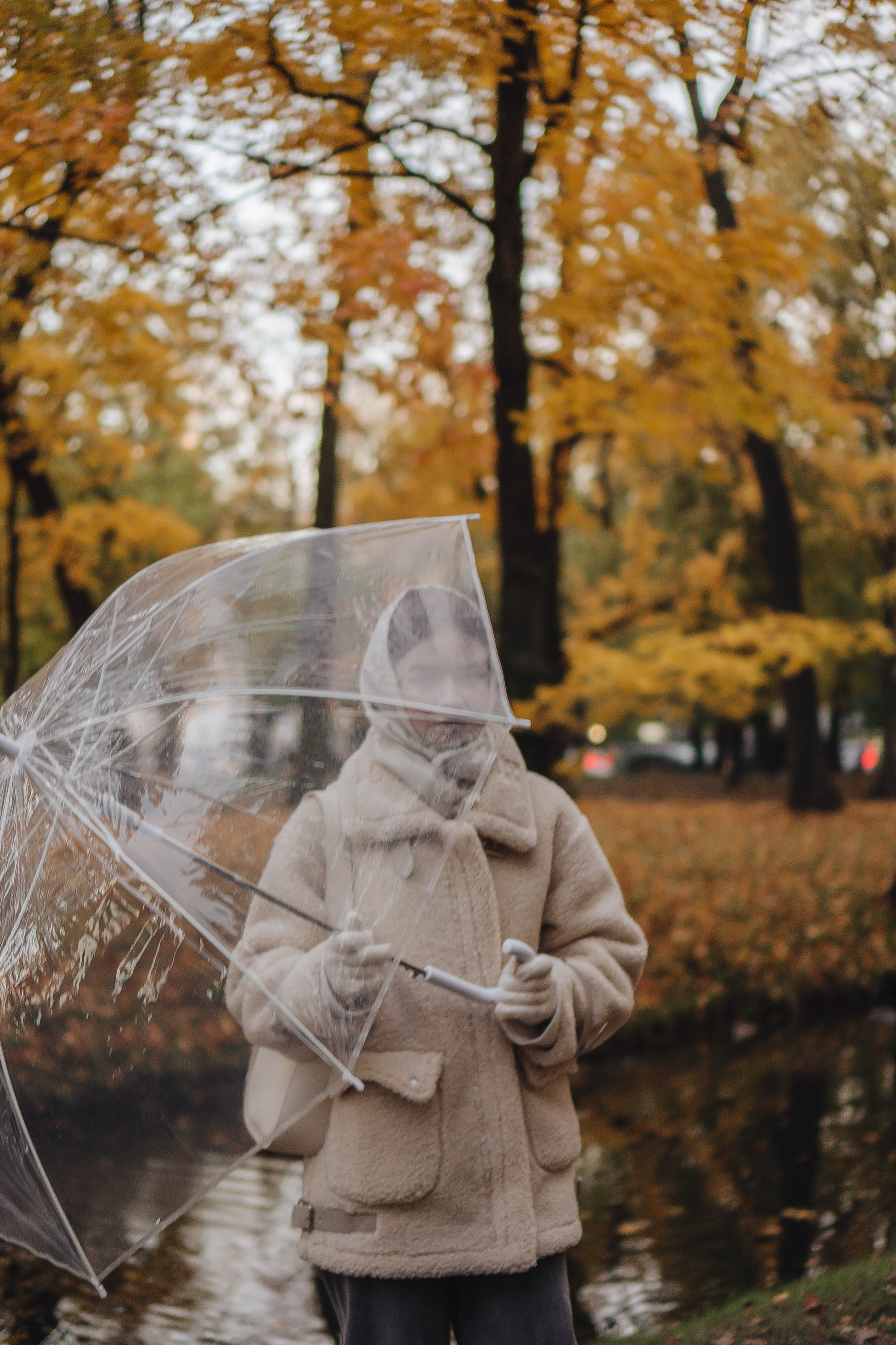 Осенняя. Профессиональный фотограф, Санкт-Петербург — Виктория Богомолова