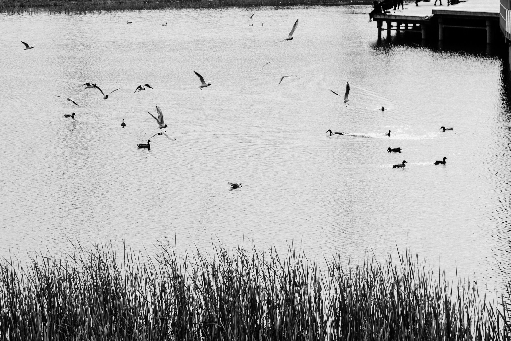 Мужской фотограф в Тюмени Стрит-съемка в Европейском микрорайоне. Портретный фотограф Тюмень Дарья Мустафина