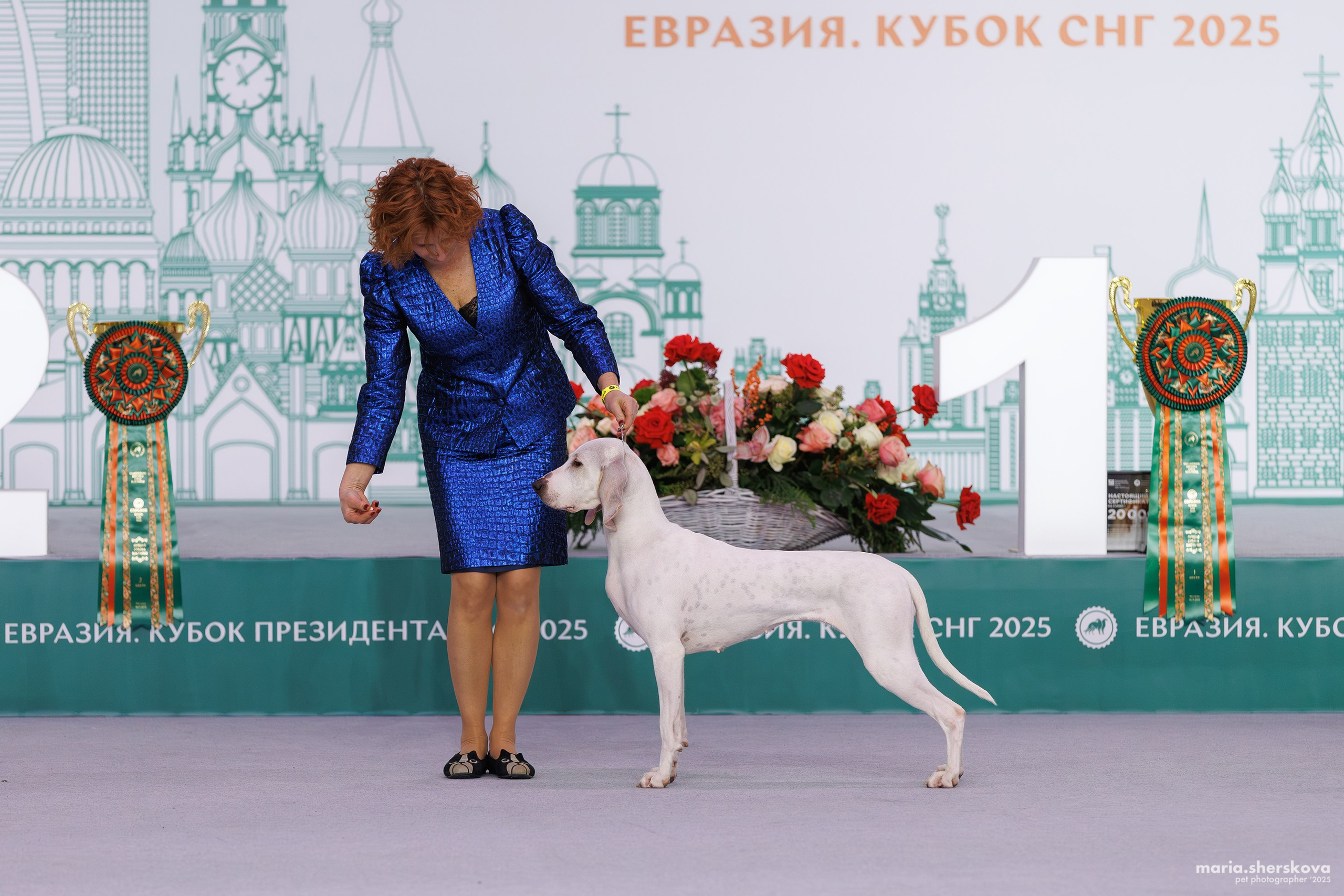 Выставки. Фотограф-анималист в Калуге Мария Шерскова